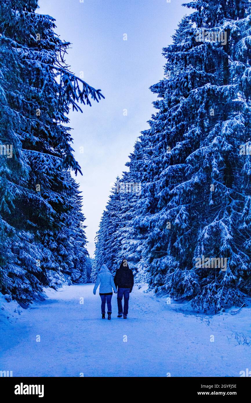 Wanderer Menschen wandern durch verschneite Tannen und Landschaft bei Nacht Brocken Harz Berge Wernigerode Sachsen-Anhalt Deutschland. Stockfoto