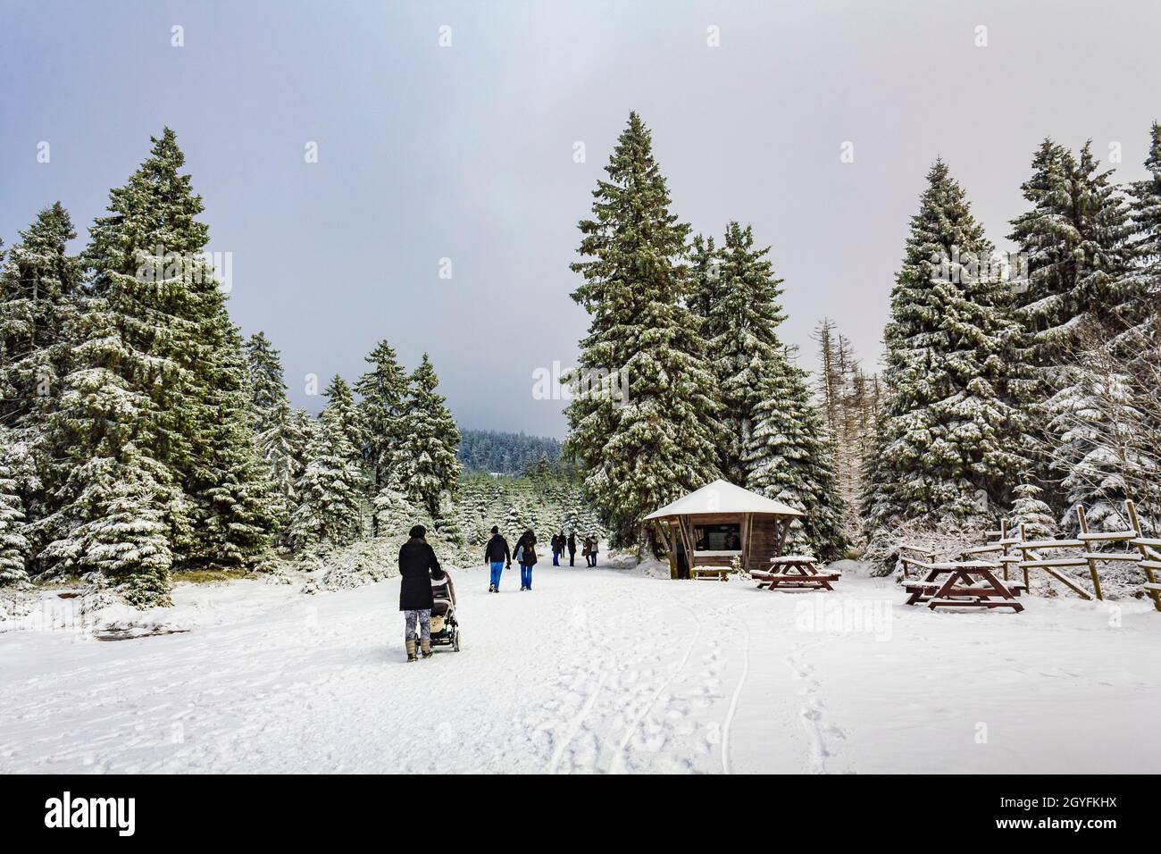 Harz Deutschland 12. Januar 2014 Wanderer Menschen wandern durch verschneite Tannen und Landschaft am Brocken Harz Wernigerode Sachsen-Anhalt Deutsch Stockfoto