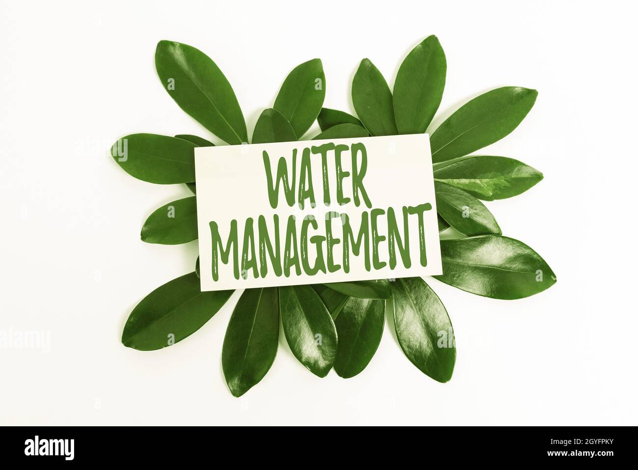 Text zeigt Inspiration Wassermanagement, Wort zur optimalen Nutzung der Wasserressourcen unter definierten Wasserrichtlinien Natur Thema Präsentation Ideen und des Stockfoto