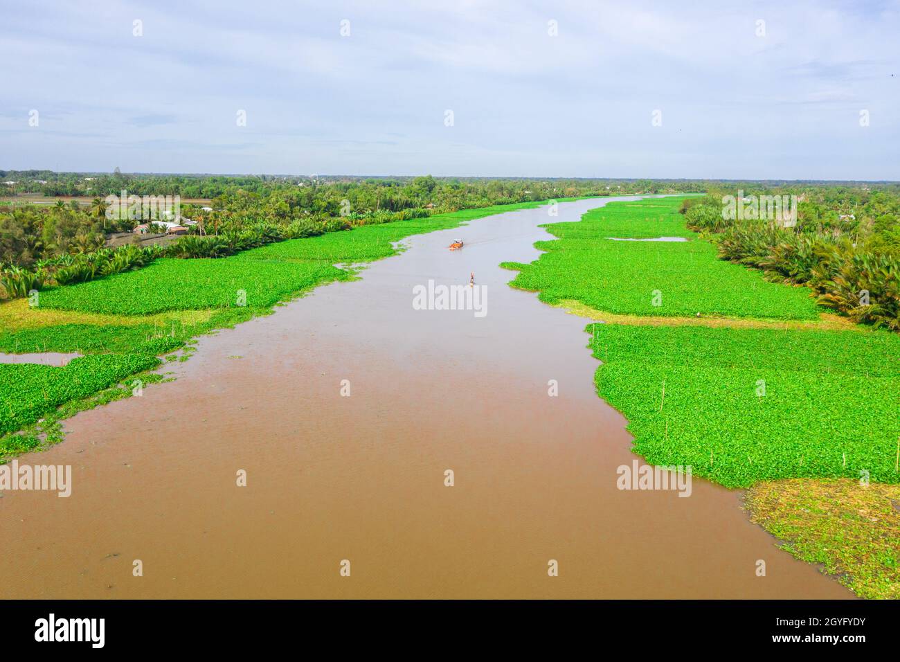 Bereich spezialisiert auf den Anbau von Wasserhyazinthe, um Kunsthandwerk in Hau Giang zu machen, Stockfoto