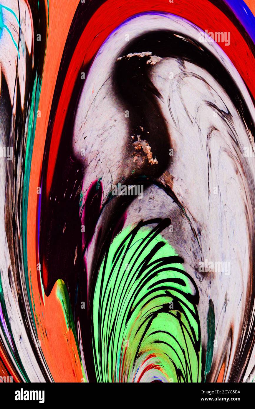 PFAU: Vögel einer Feder scharen sich zusammen, aber kein Stil ist ein Stil wie der Pfau. Stockfoto