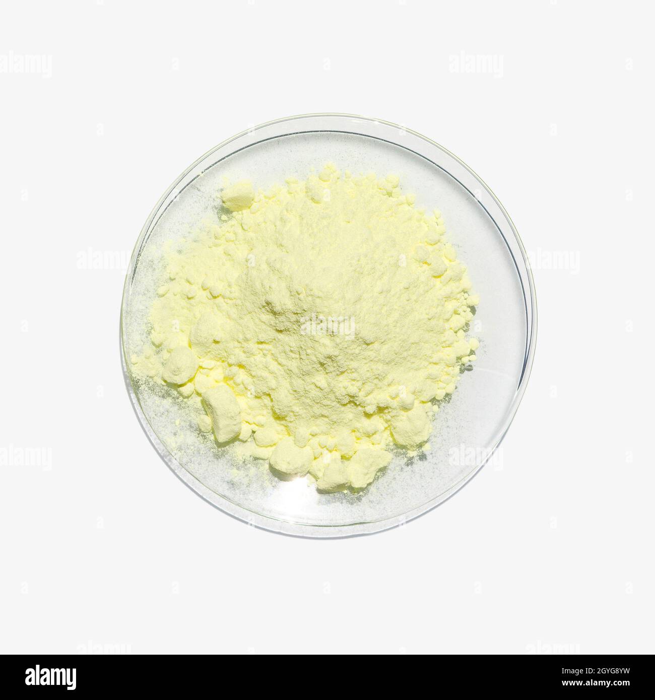 Nahaufnahme des chemischen Inhaltsstoffs auf dem weißen Labortisch. Schwefelpulver in chemischem Uhrenglas. Draufsicht Stockfoto