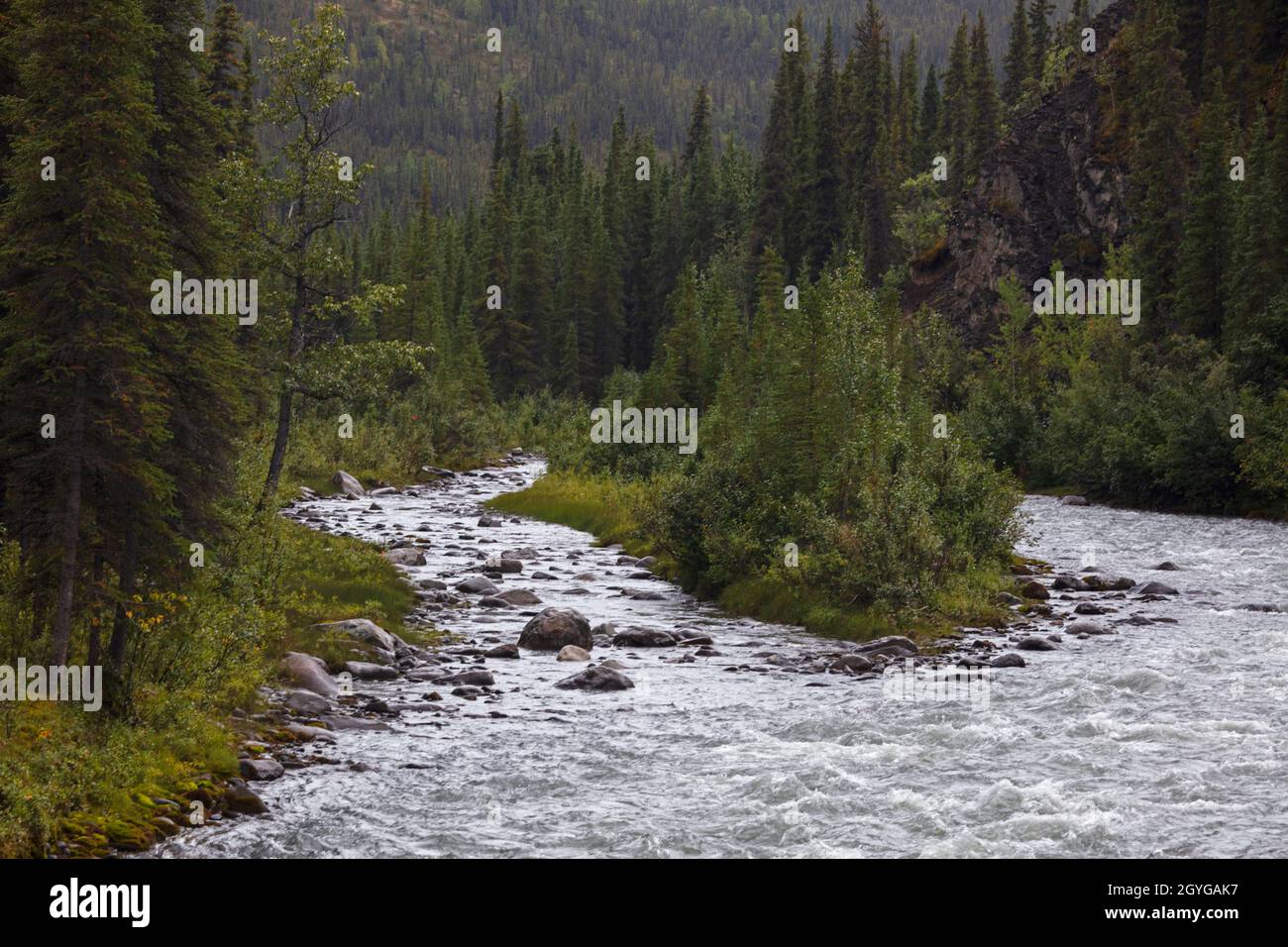 RILEY CREEK liegt in der Nähe eines Campingplatzes am Eingang zum DENALI NATIONAL PARK, ALASKA Stockfoto