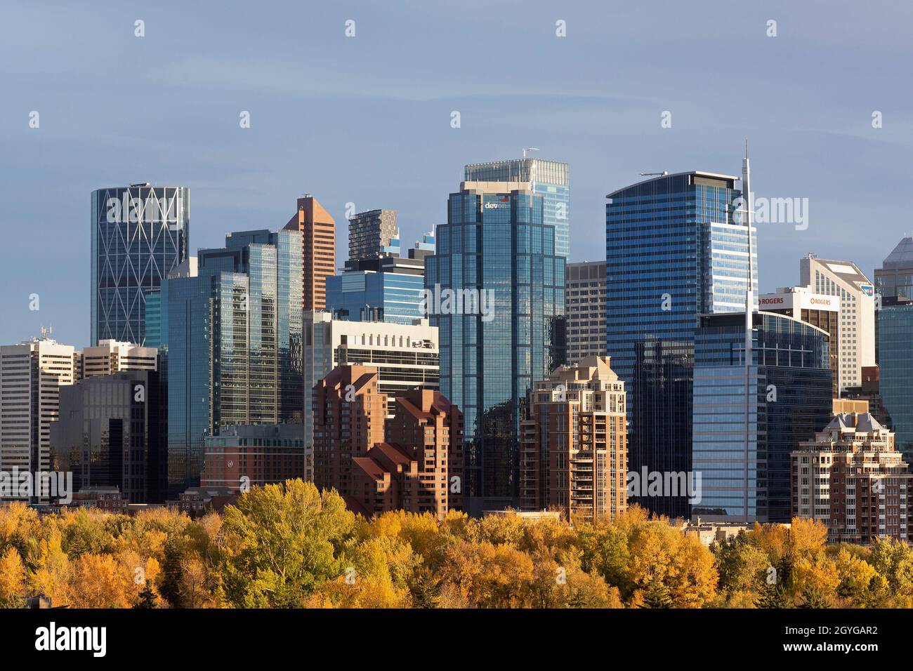 Stadtbild von Calgary mit Wolkenkratzern in der Innenstadt und Bäumen im Herbstlaub Stockfoto