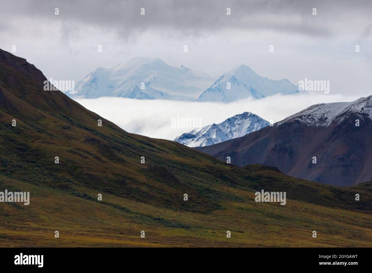 DER GIPFEL VON DENALI erreicht eine Höhe von 20,300 Fuß, den höchsten in der ALASKAN-BERGKETTE und den Vereinigten Staaten - DEN DENALI-NATIONALPARK, ALASKA Stockfoto