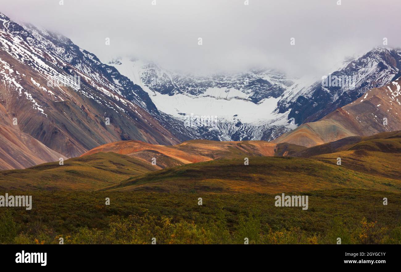 Das POLYCHROME GEBIET (Einheit 31) und das Toklat River Valley sind einzigartig für ihre mehrfarbigen Felsen und Mineralien - DENALI NATIONAL PARK, ALASKA Stockfoto