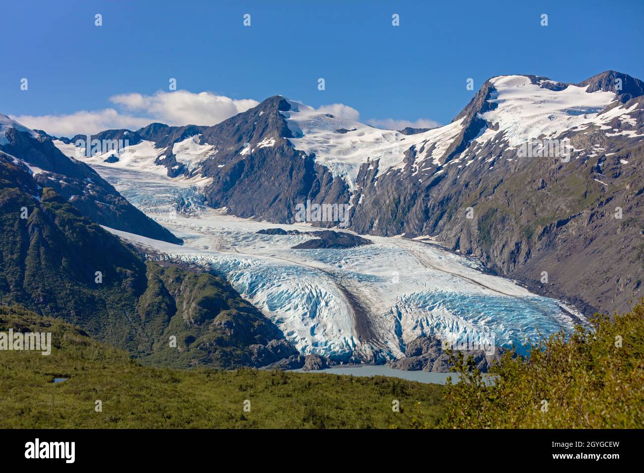 PORTAGE GLETSCHER und See vom Portage Pass Trail aus gesehen - KENAI HALBINSEL, ALASKA Stockfoto