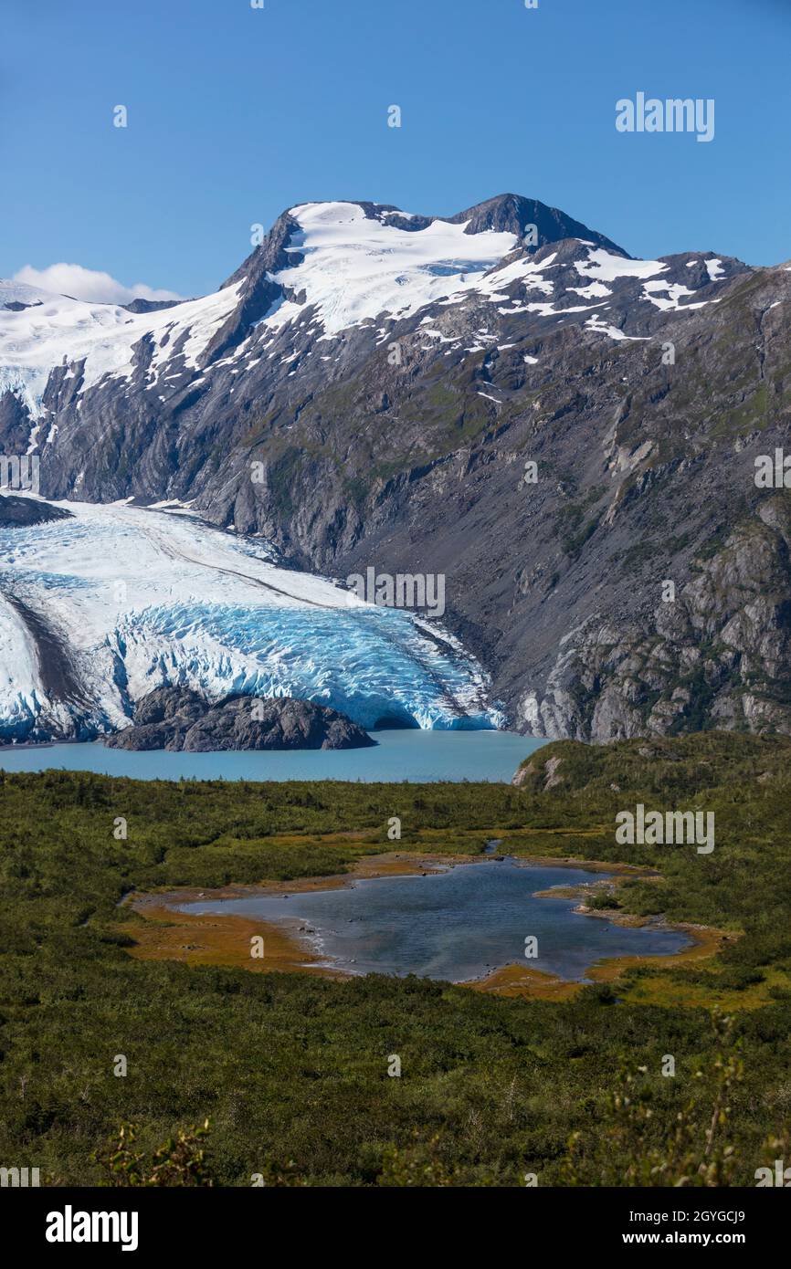 PORTAGE GLETSCHER und See vom Portage Pass Trail aus gesehen - KENAI HALBINSEL, ALASKA Stockfoto