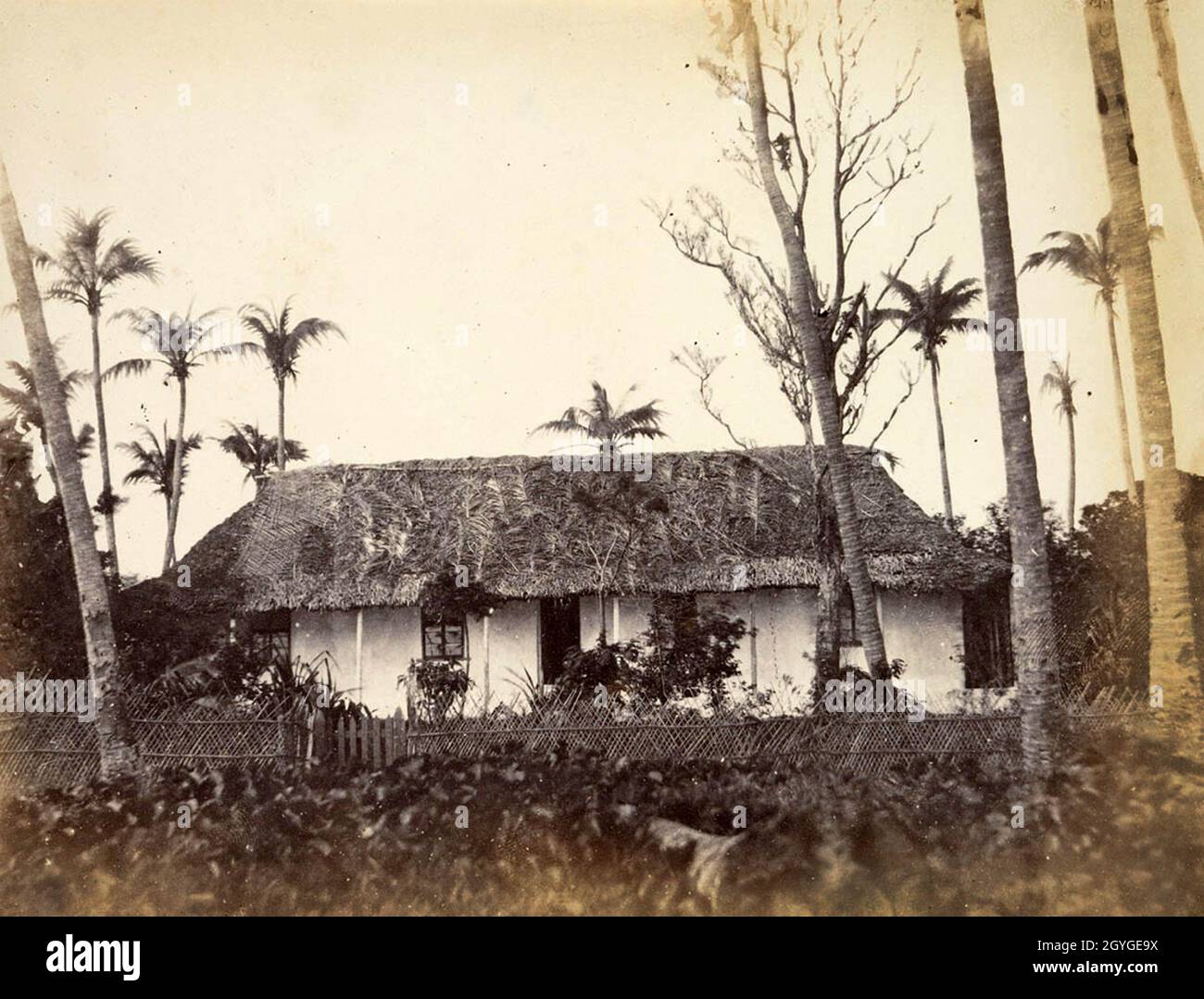 Wohnsitz von Herrn Gedye, wahrscheinlich Rev. John Geddie, Missionar am Aneiteum, New Hebrides, um 1861 Stockfoto
