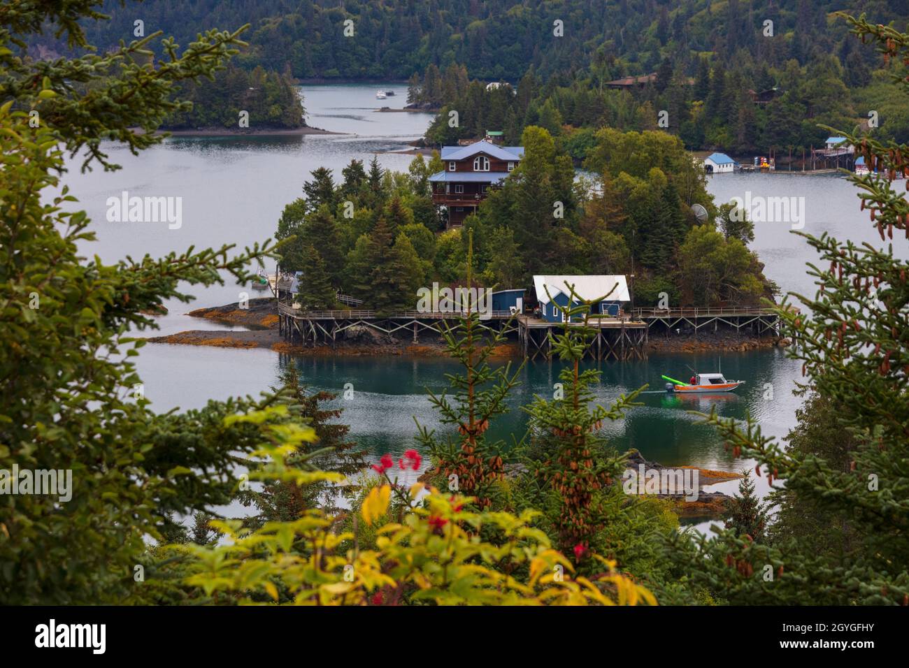 DIE HALIBUT COVE in KACHEMAK BAY ist mit einer 1-stündigen Bootsfahrt von HOMER, ALASKA, aus zu erreichen. Stockfoto