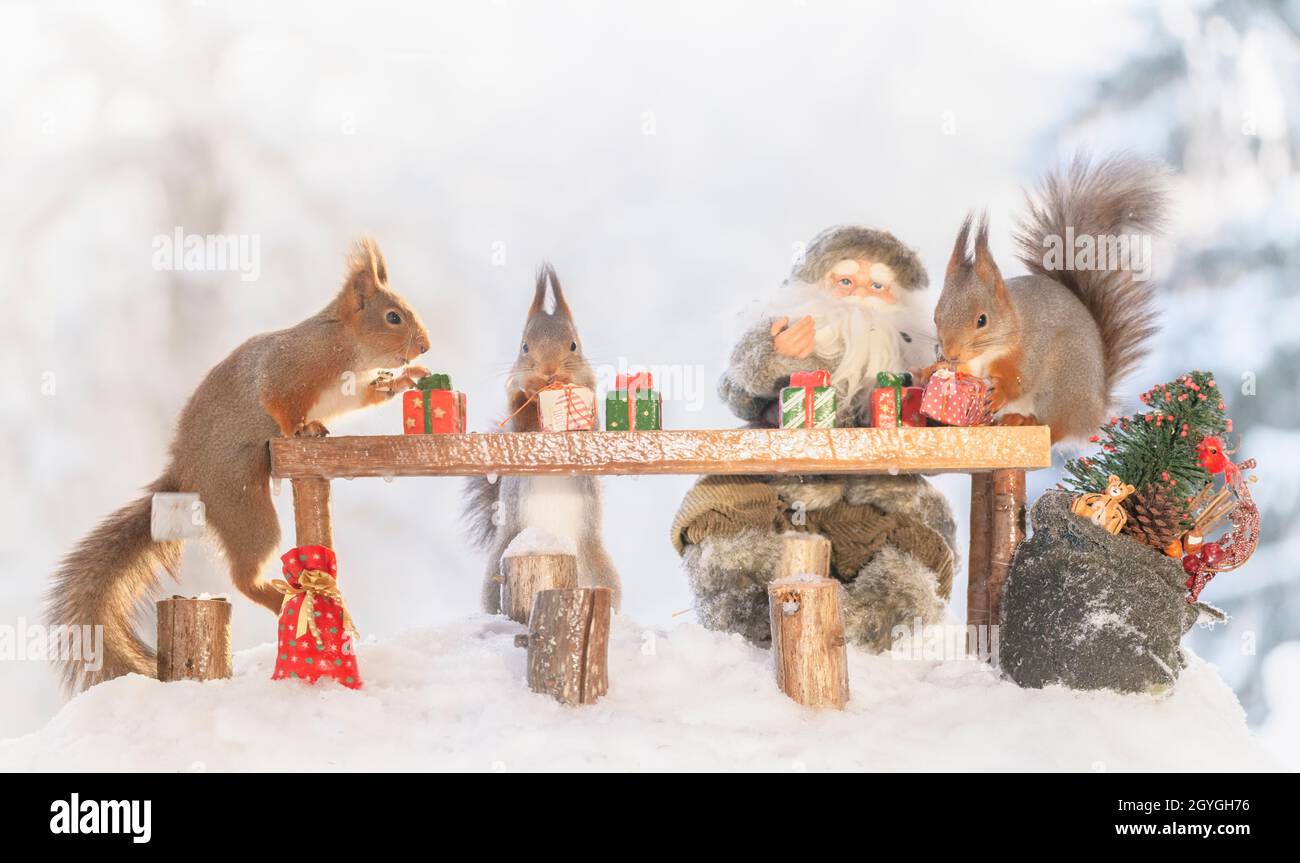 Rote Eichhörnchen stehen mit dem Weihnachtsmann um einen Tisch Stockfoto