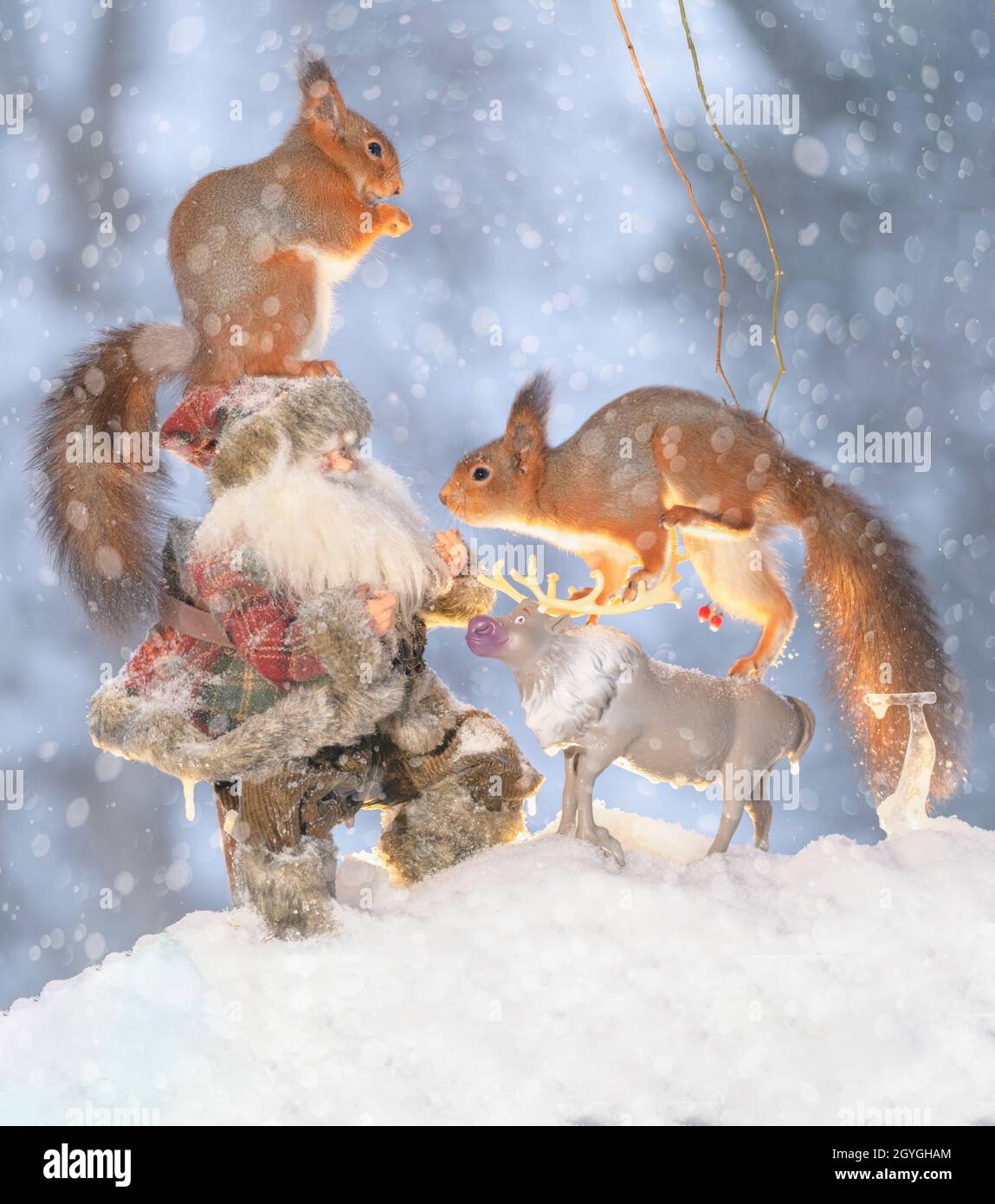 Rotes Eichhörnchen auf einem Rentier und einem weihnachtsmann im Schnee Stockfoto