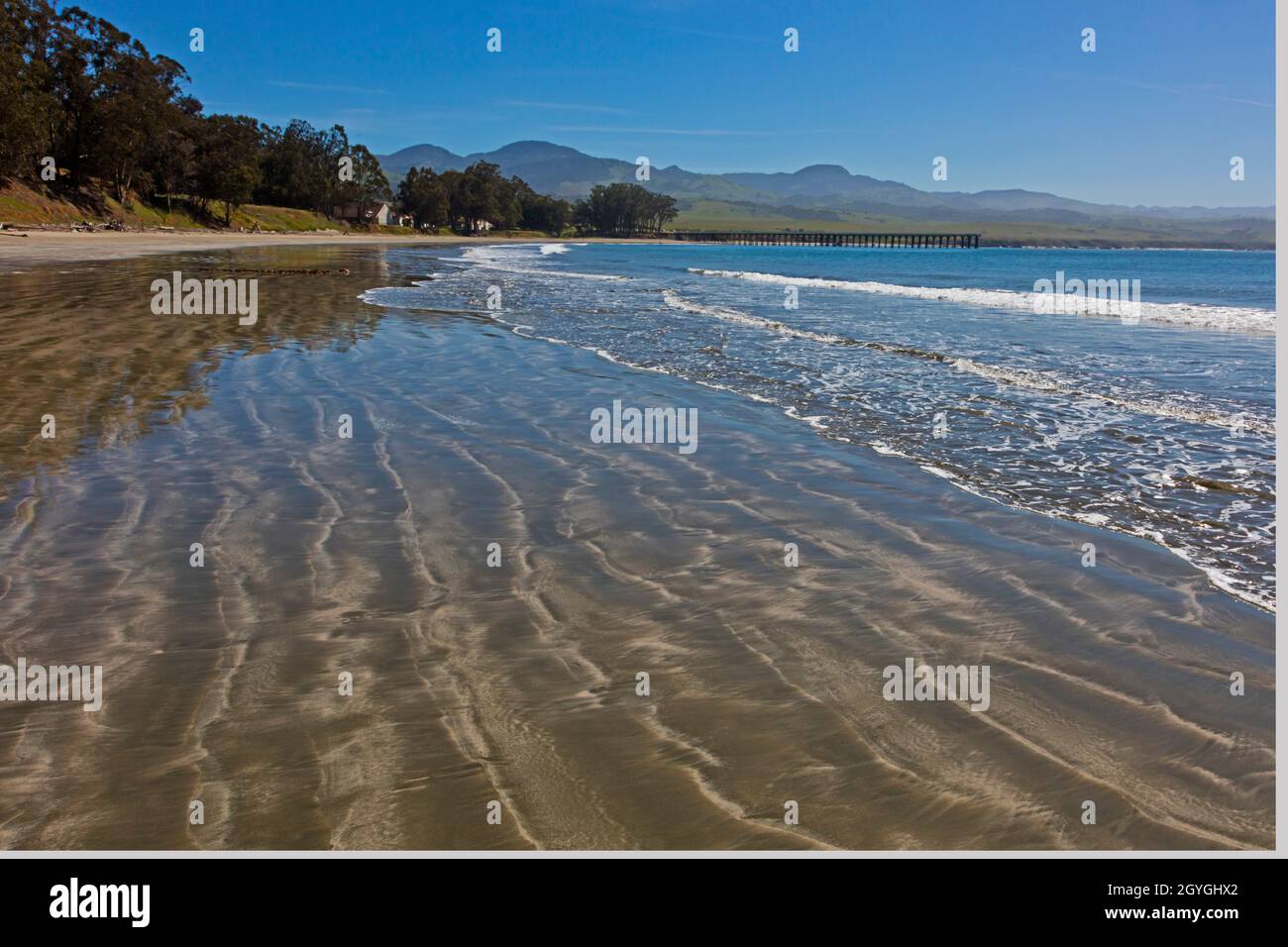 Der Pazifische Ozean und der Strand im SAN SIMEON STATE PARK in der Nähe von Cambria California. Stockfoto