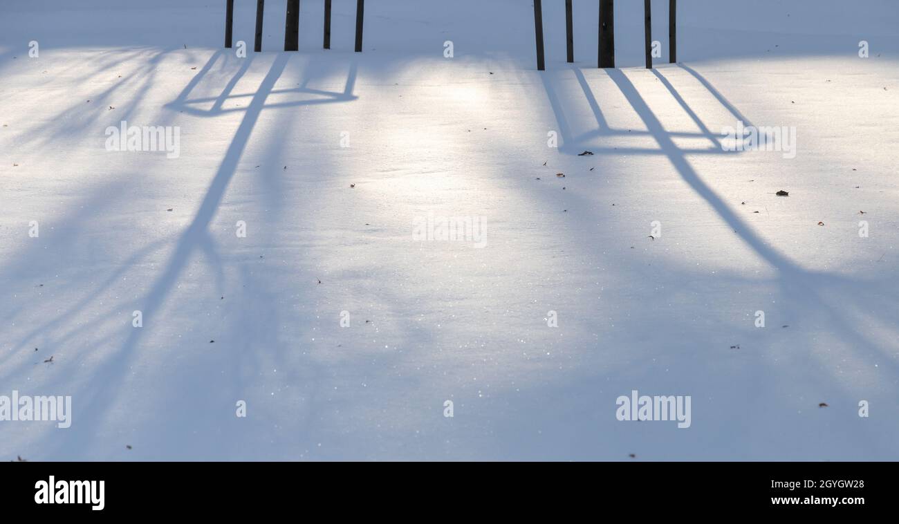 Natürlicher Hintergrund mit Winterparkgelände. Schatten von Bäumen liegen an einem sonnigen Tag über der Schneeverwehung Stockfoto