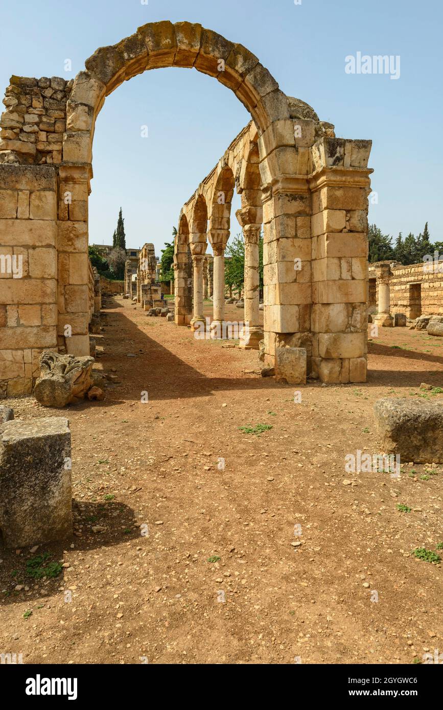 LIBANON, BEKAA, BEQAA-TAL, RUINEN DER UMAYYADISCHEN STADT ANJAR (UNESCO-WELTKULTURERBE) Stockfoto