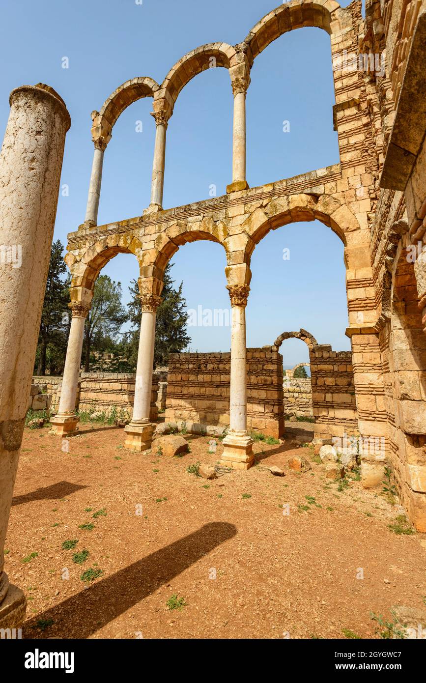 LIBANON, BEKAA, BEQAA-TAL, RUINEN DER UMAYYADISCHEN STADT ANJAR (UNESCO-WELTKULTURERBE) Stockfoto