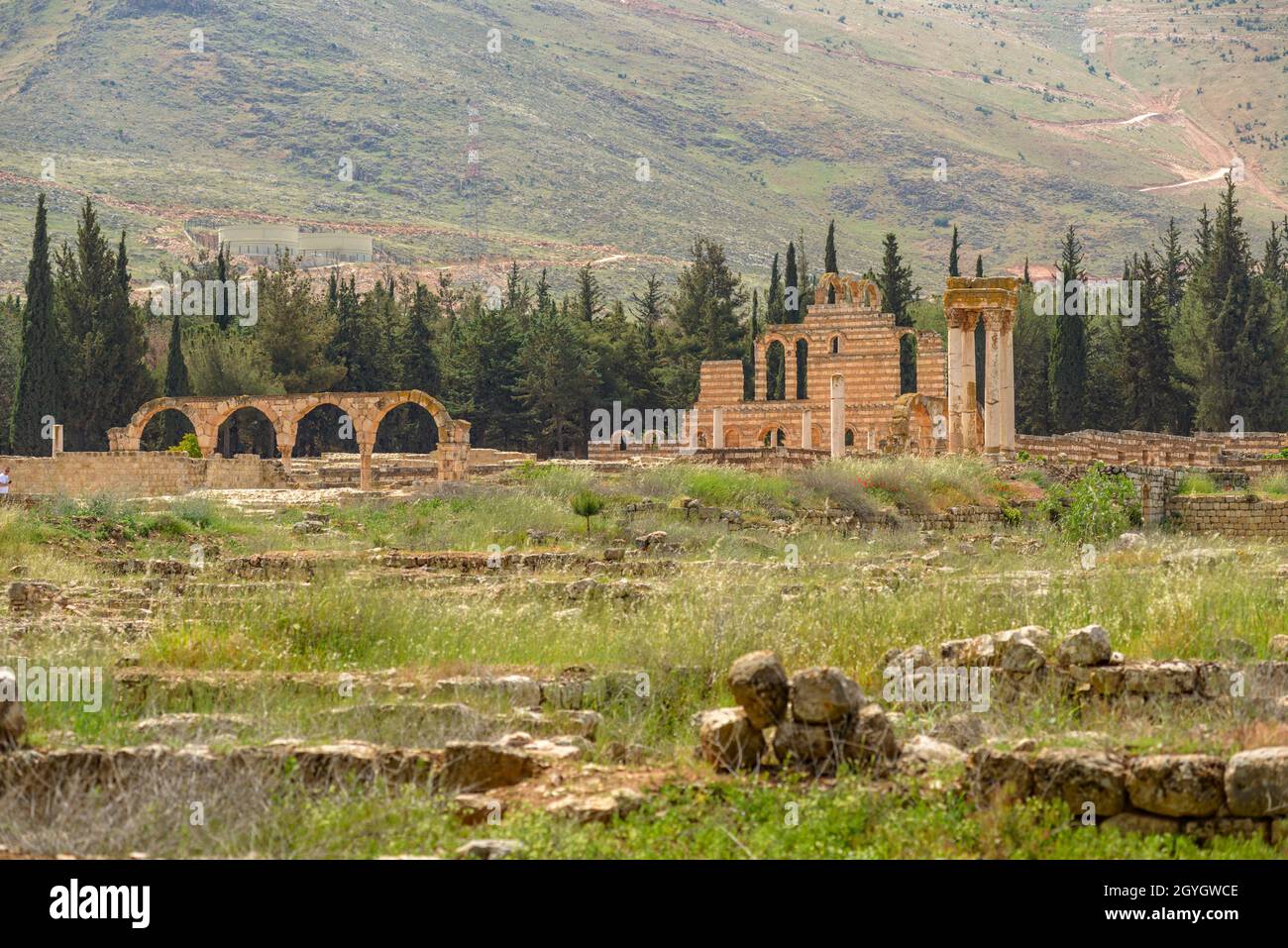 LIBANON, BEKAA, BEQAA-TAL, RUINEN DER UMAYYADISCHEN STADT ANJAR (UNESCO-WELTKULTURERBE) Stockfoto