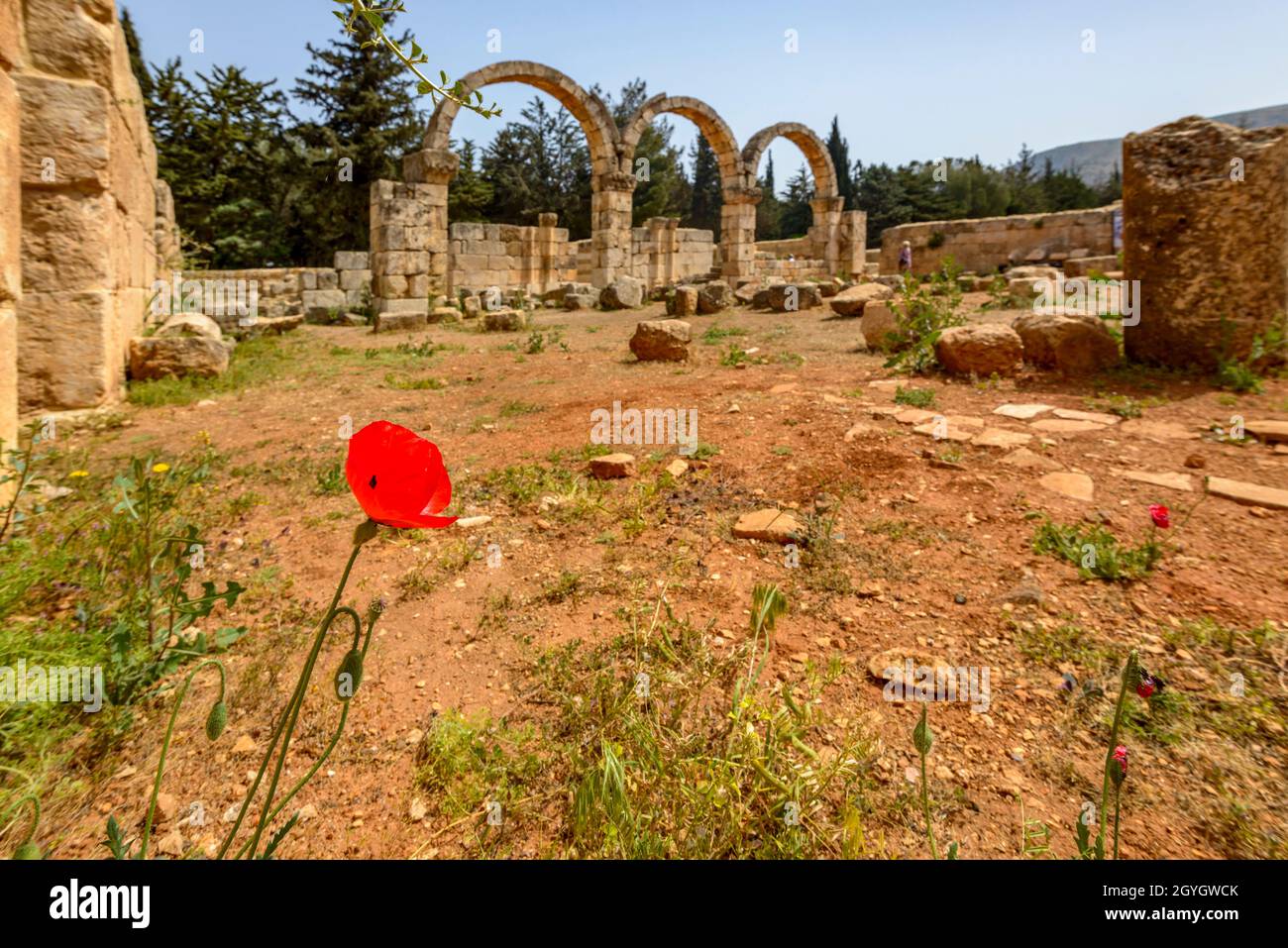 LIBANON, BEKAA, BEQAA-TAL, RUINEN DER UMAYYADISCHEN STADT ANJAR (UNESCO-WELTKULTURERBE) Stockfoto