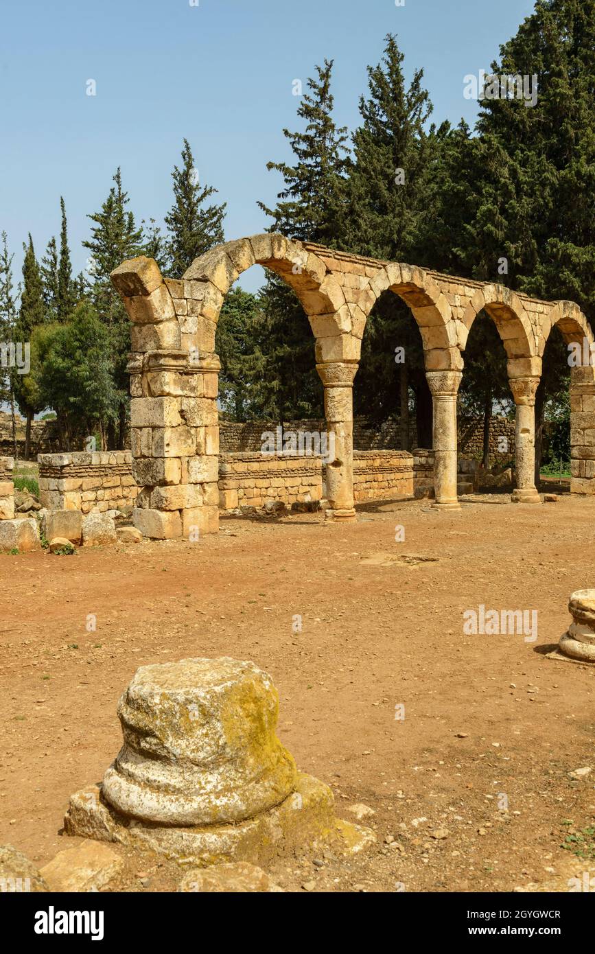 LIBANON, BEKAA, BEQAA-TAL, RUINEN DER UMAYYADISCHEN STADT ANJAR (UNESCO-WELTKULTURERBE) Stockfoto