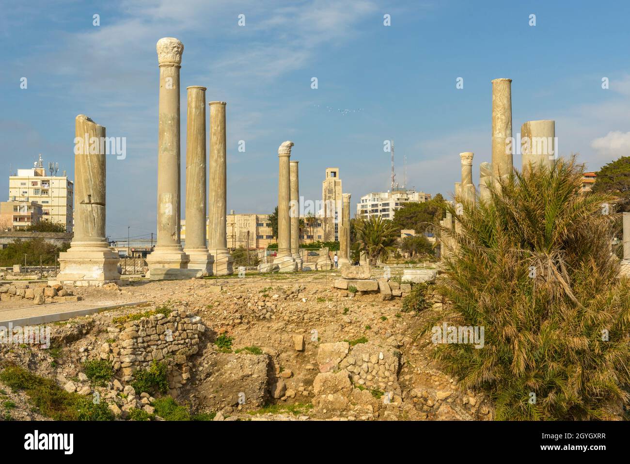 LIBANON, SÜDLIBANON, REIFEN (SAUER), ALTE STADT VON REIFEN, AL MINA WEBSITE, THERMALBASILIKA Stockfoto