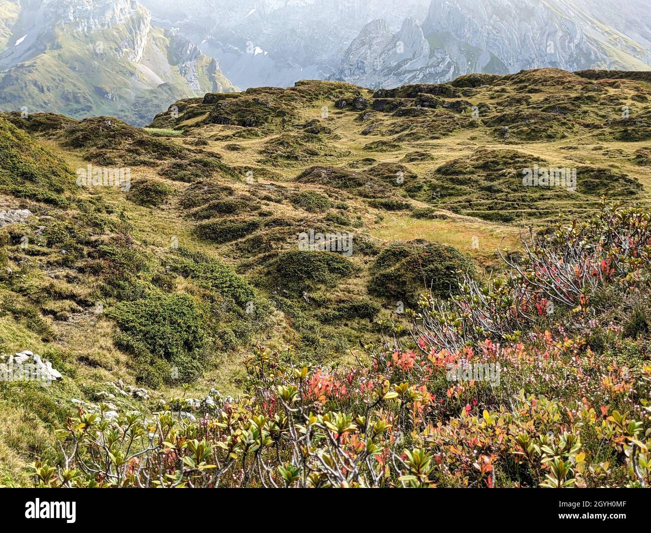 Alpen Wiese in der Schweiz. Alm in der Nähe des Silberner Berges im Kanton Uri. Wandern im Herbst.Wanderlust Stockfoto