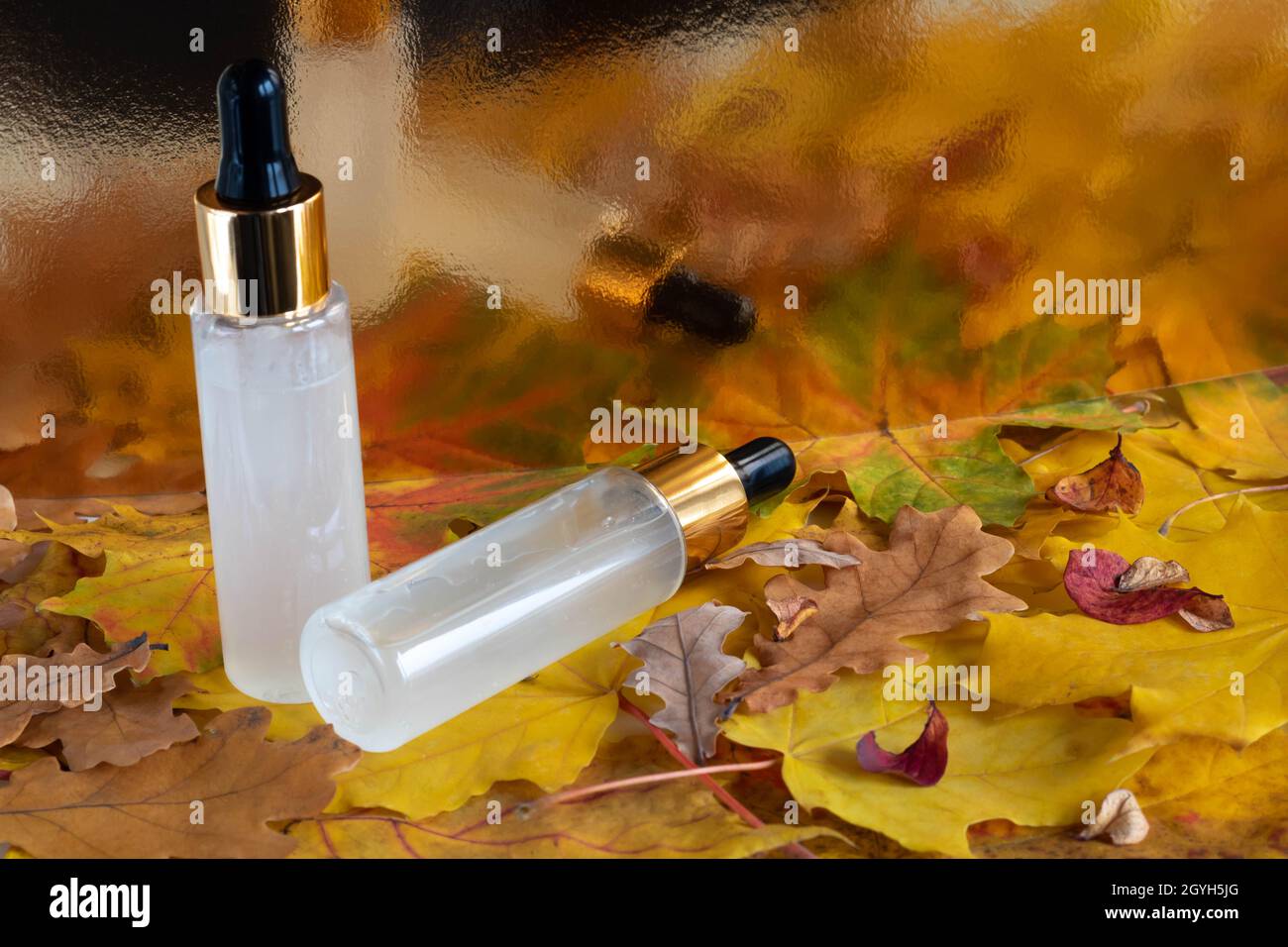 Zwei Milchflaschen mit einer Augentropfmaschine, die auf Herbstblättern liegt und sich auf dem glänzend goldenen Hintergrund der Wände spiegelt. Das Layout ist geeignet für cos Stockfoto