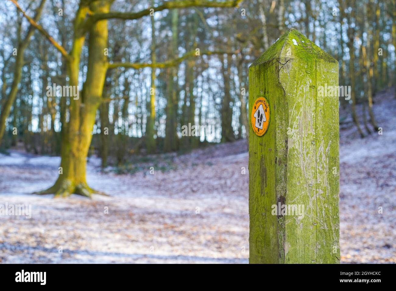 Schild für den Fitnessweg für Wanderer, isoliert in einem Waldgebiet im Winter, Großbritannien, mit leichtem Schnee auf dem Boden. Stockfoto