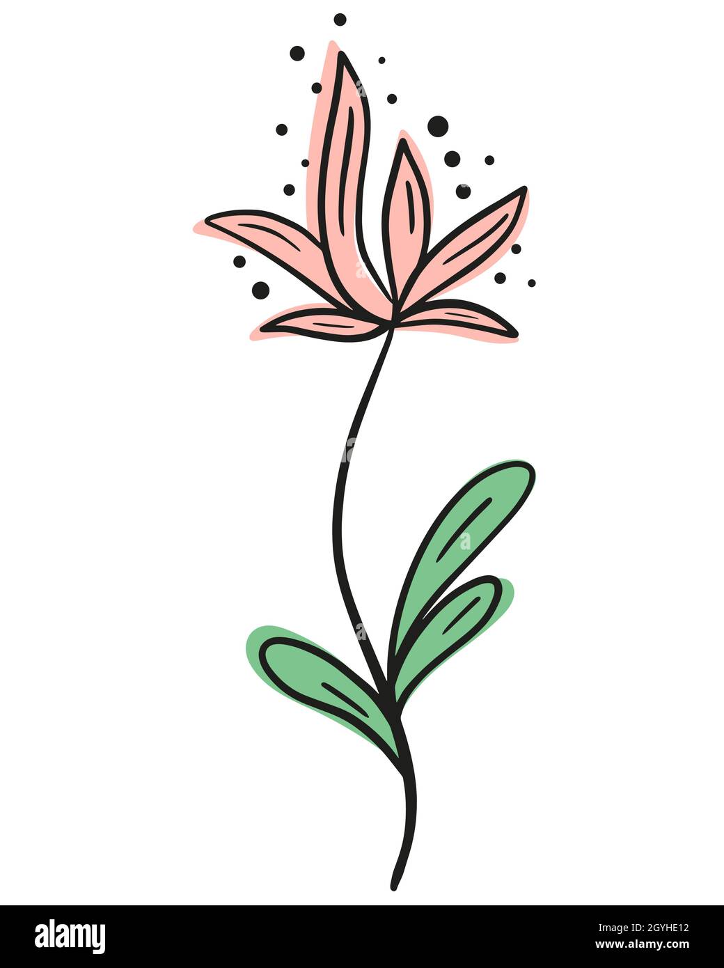 Einzelne schöne Blume Linie Kunst, Vektor-Illustration. Handgefertigtes Konturbild einer eleganten blühenden Blume. Schwarze Umrisse und farbige Flecken, botanica Stock Vektor