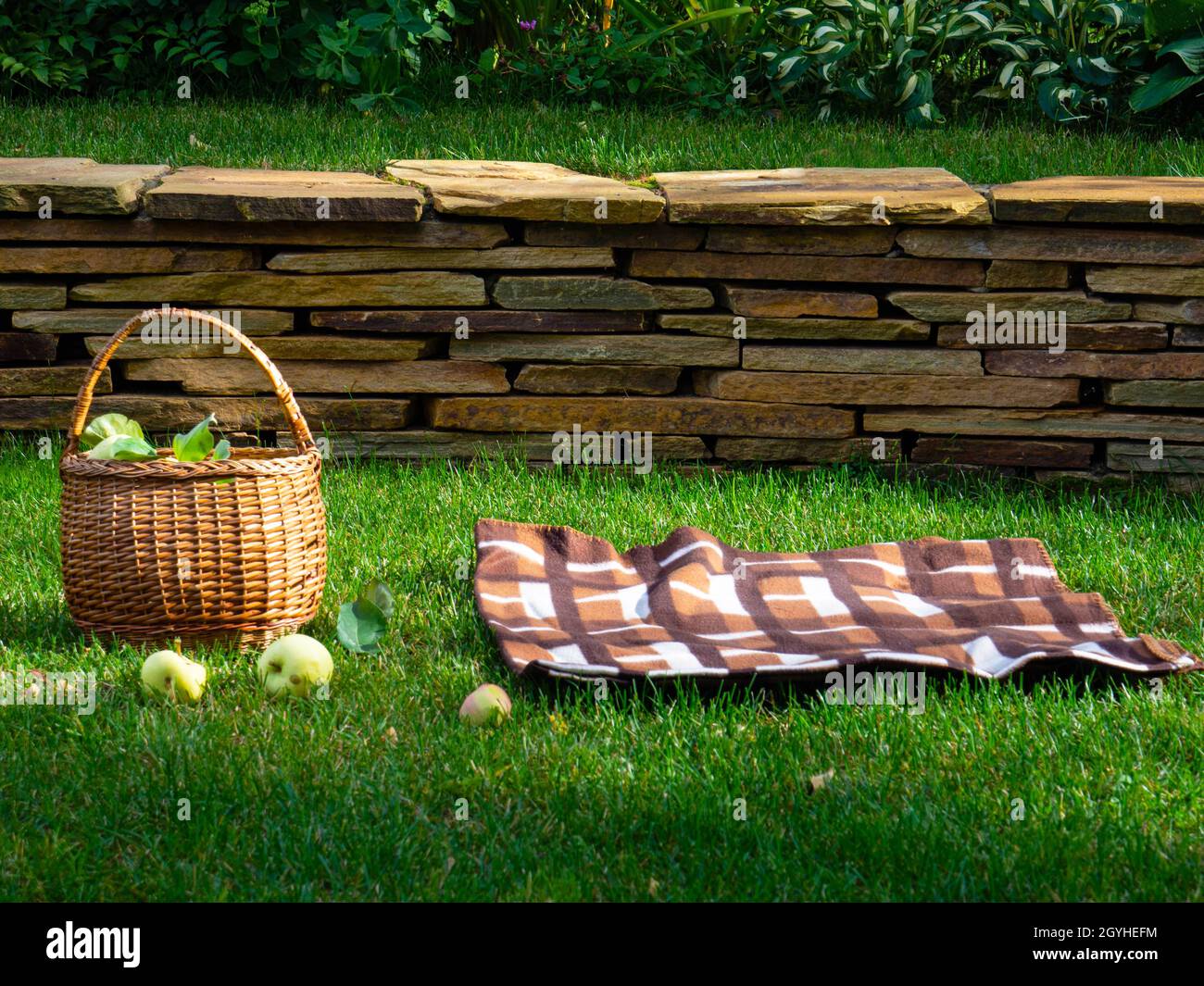 Grüne Äpfel (weiße Füllung) in einem Korb Stockfoto