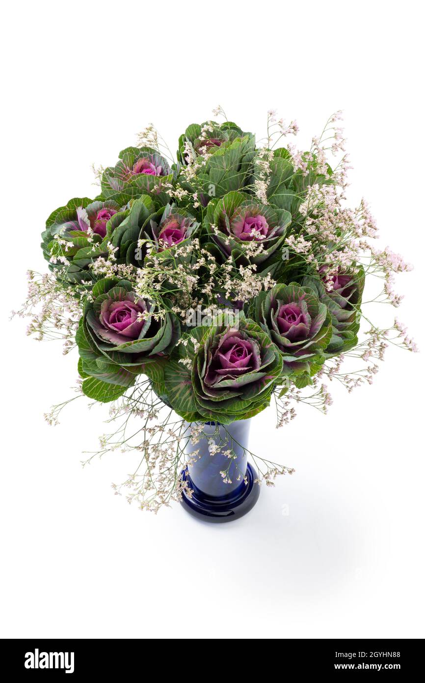 Vase mit herbstlichem Bouquet mit bunten Kohlblüten isoliert auf weißem Hintergrund Stockfoto