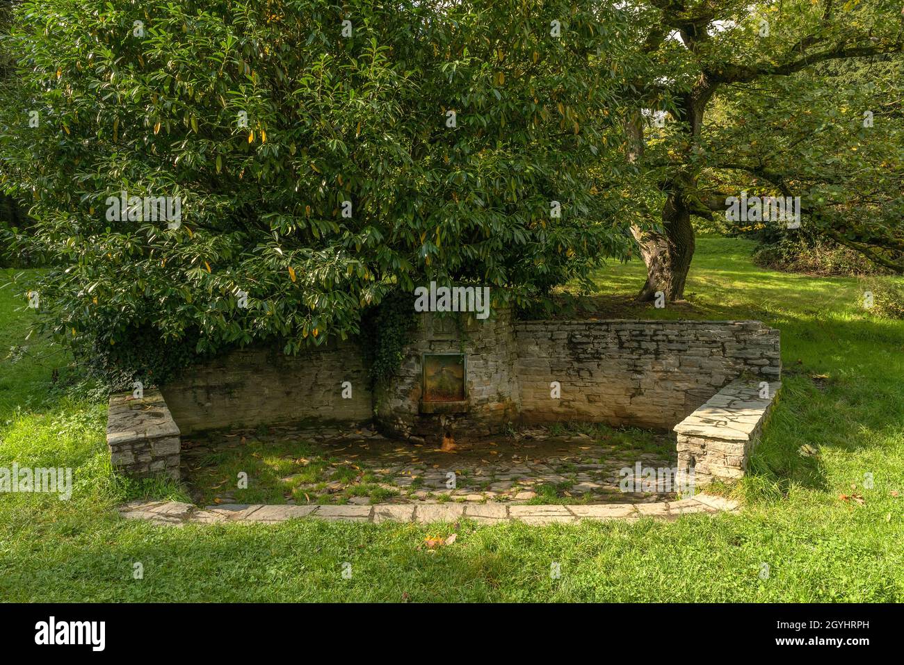 Theodorus Quelle im Quellenpark Kronthal, Kronberg im Taunus, Deutschland Stockfoto