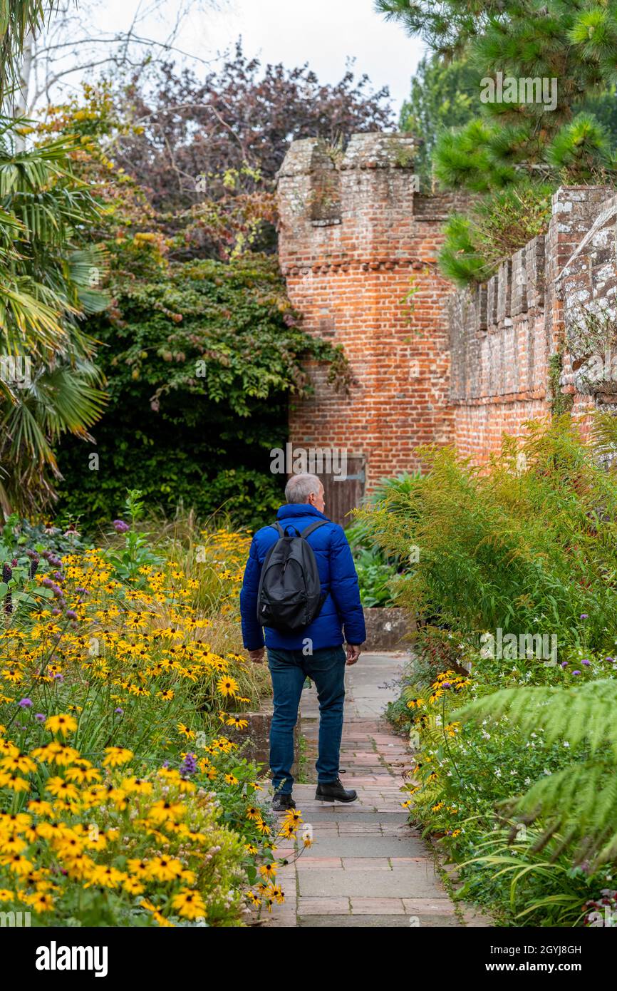 Mann spaziert im Herbstwald und genießt die herbstlichen Farben allein auf dem Land. Mann zu Fuß Bischöfe Garten chichester Kathedrale in der Herbstsaison Stockfoto
