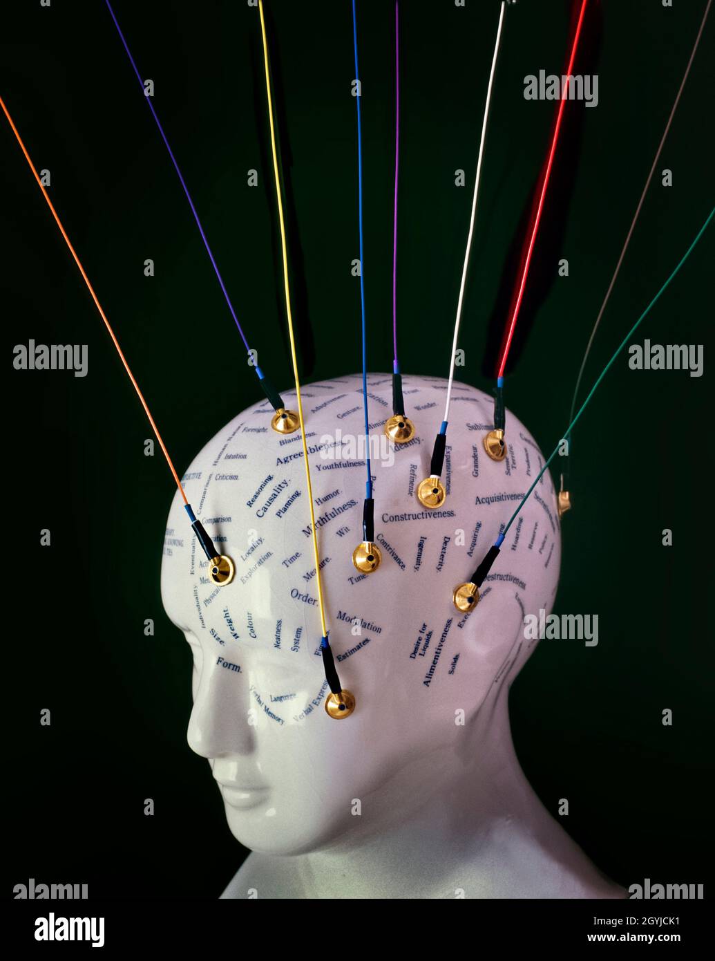 Konzeptionelles Bild mit modernen EEG-Elektroden (Elektroenzephalogramm), die an einem phroenologischen Kopf der Töpferei angebracht sind. Stockfoto