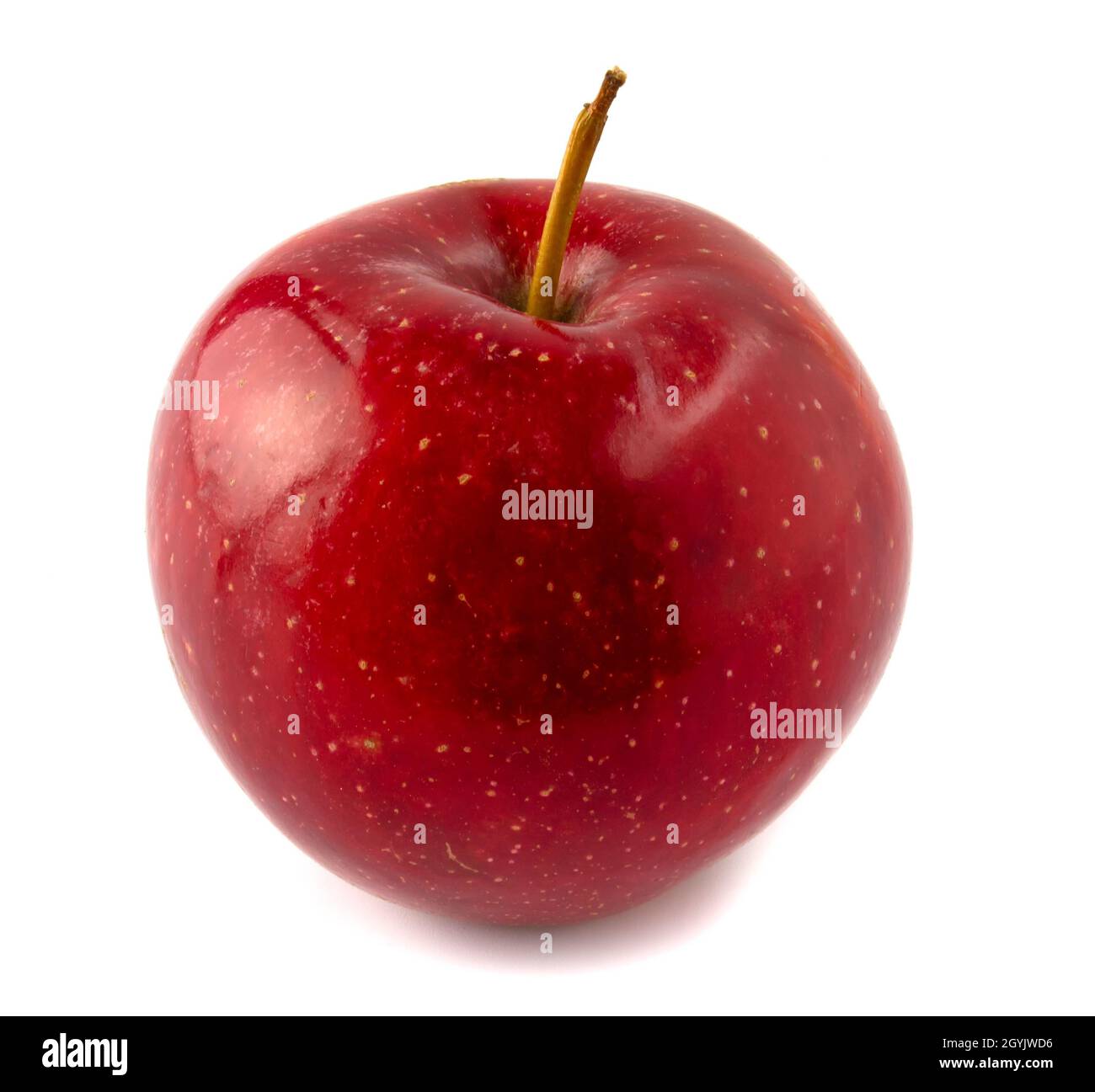 Ein reifer roter Apfel. Isoliert auf weißem Hintergrund. Stockfoto