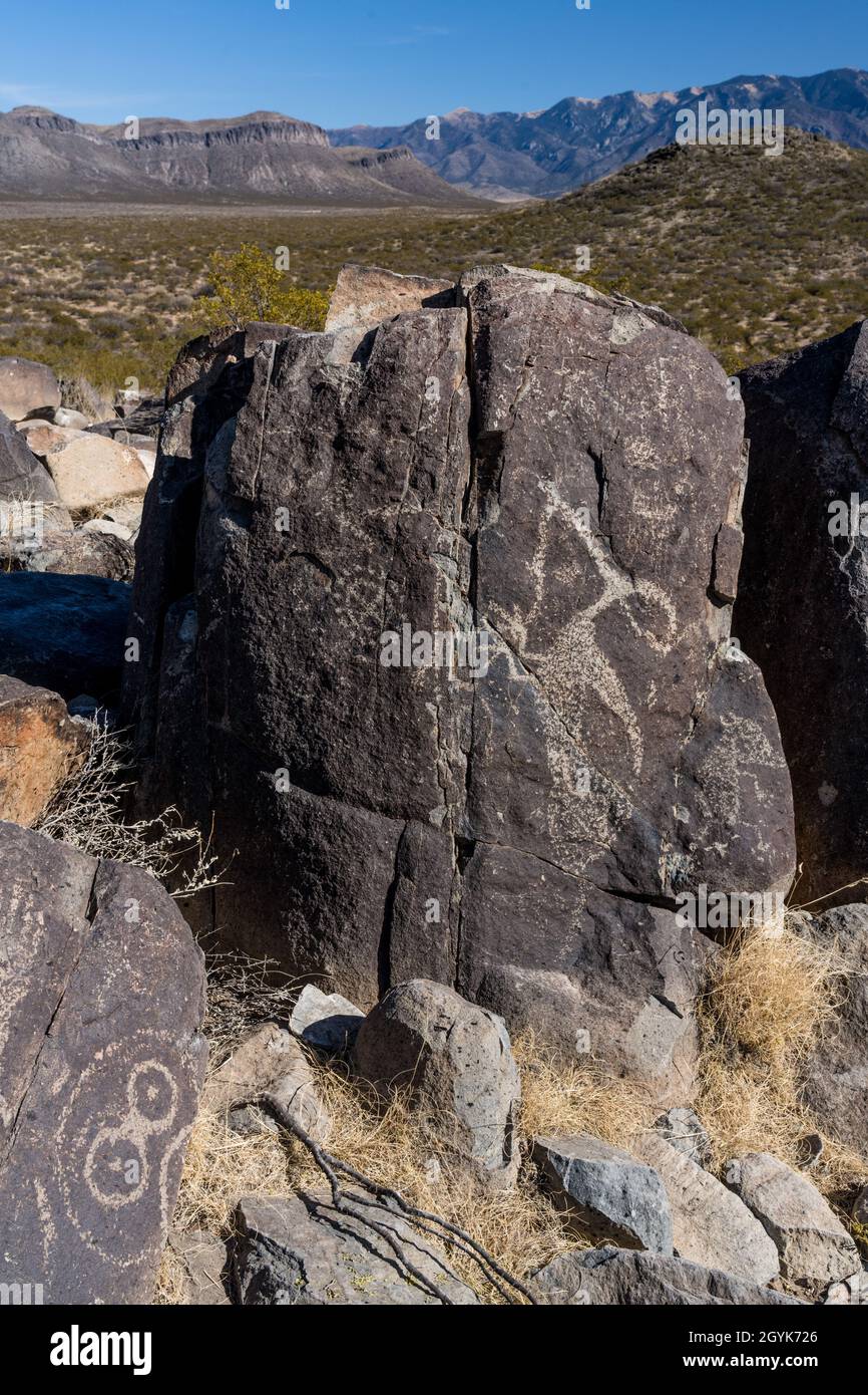 Ein Roadrunner mit einer Schlange, die auf einem Basaltsteinblock in der Petroglyph-Stätte Three Fluers in New Mexico geschnitzt wurde. Stockfoto