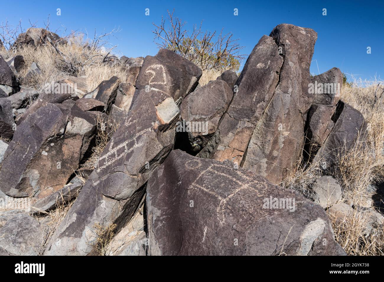 Ein Adler- oder Falkenkopf und andere Figuren, die auf Basaltbrocken in der Three-Fluss-Petroglyph-Stätte in New Mexico geschnitzt wurden. Stockfoto