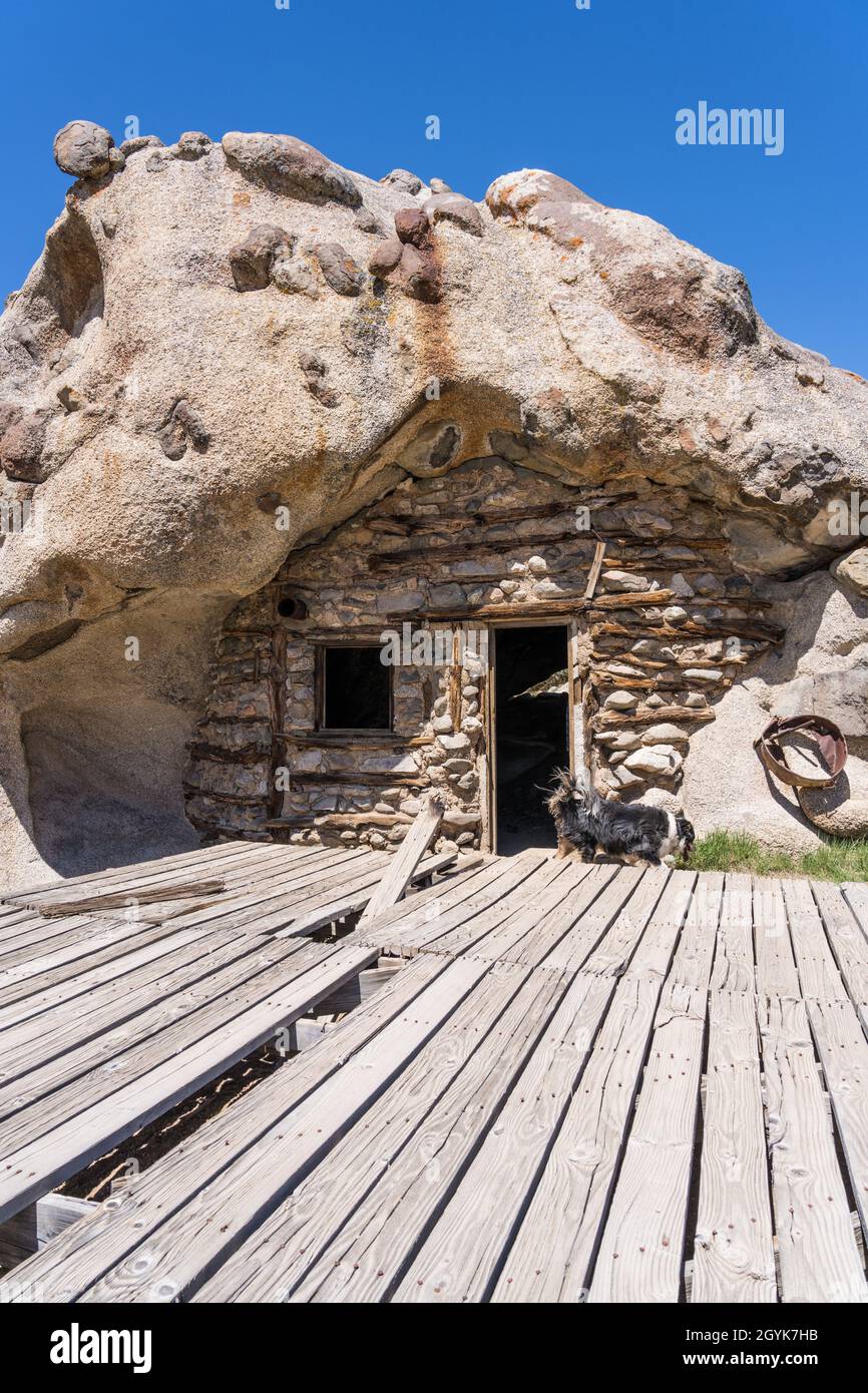 Die Felshütte in diesem großen Felsen wurde um 1900 in den Mineralbergen von Zentral-Utah gebaut. Stockfoto