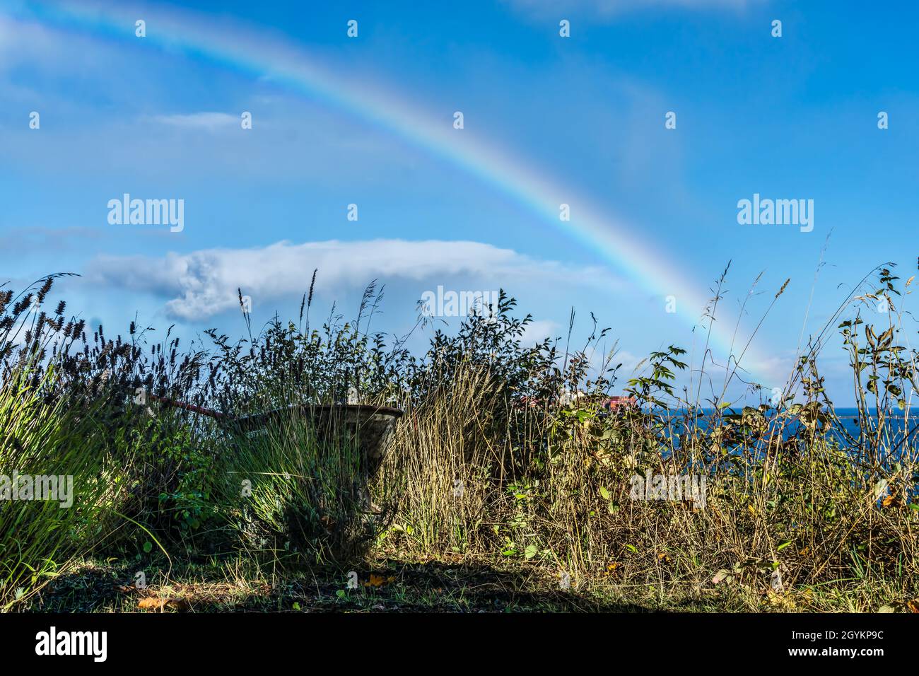 Ein Regenbogen in Port Angeles, Washington. Blauer Himmel. Stockfoto