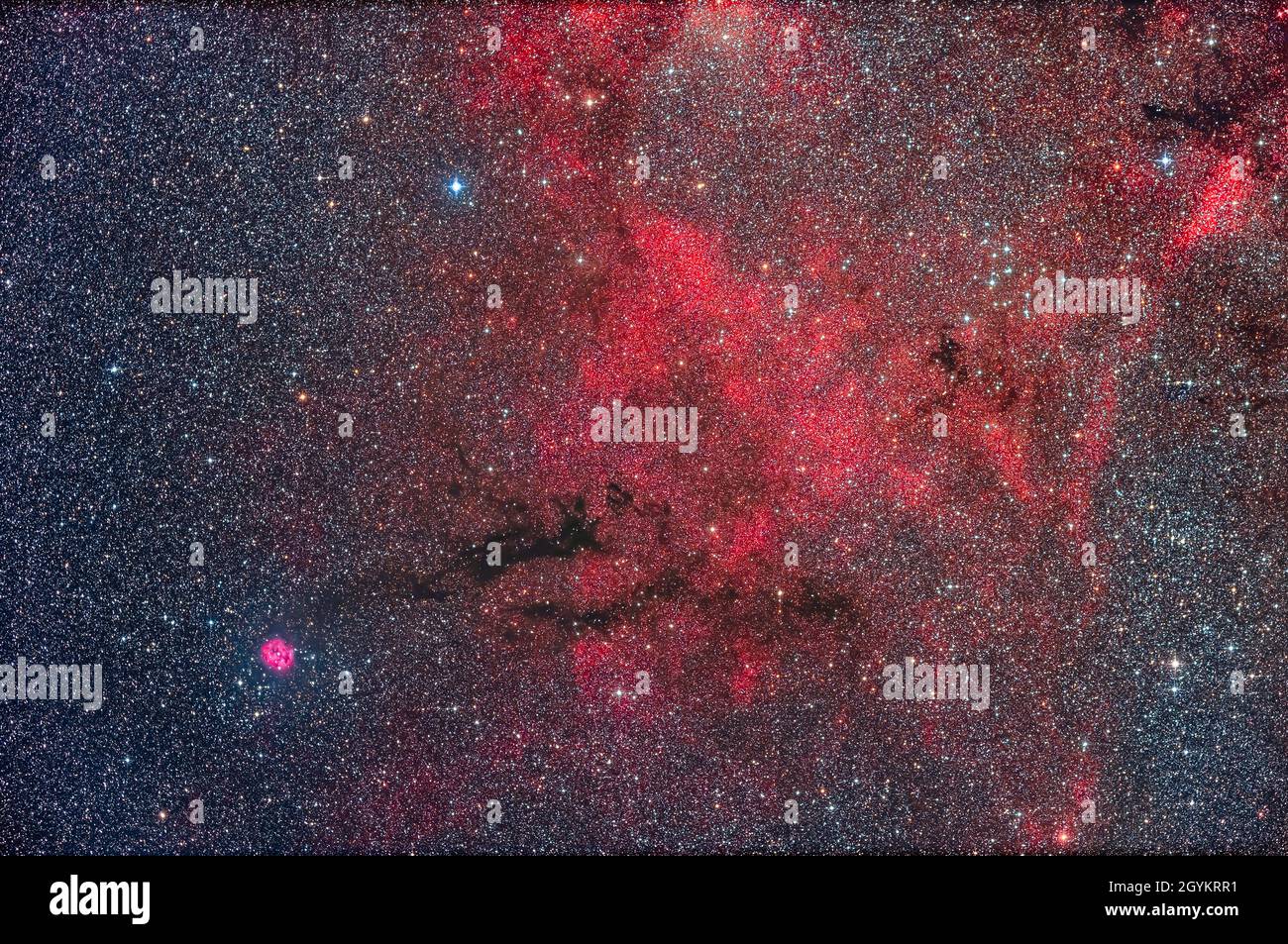 Hier sind mehrere Arten von Deep-Sky-Objekten dargestellt: Ein Emissionsnebel, dunkle Nebel und Sternhaufen in diesem reichen Feld des Cygnus. Das Feld Stockfoto