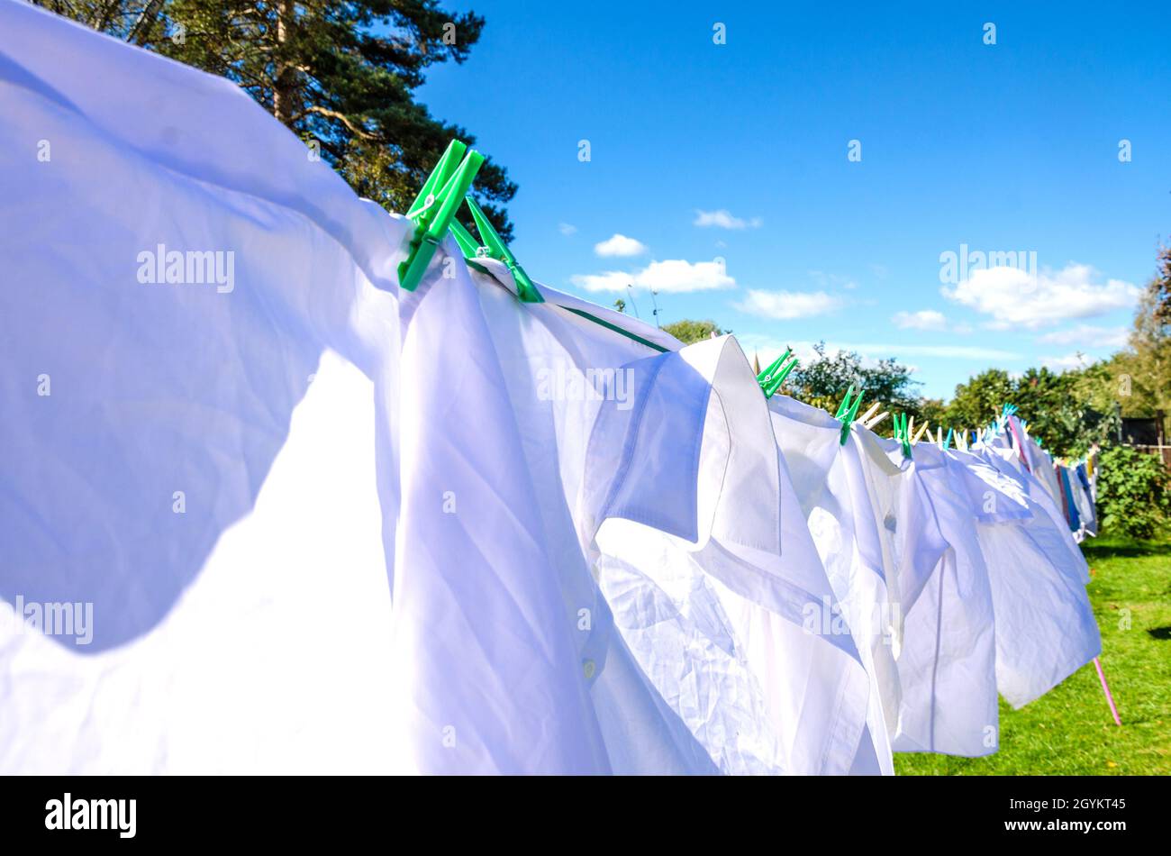 Weiße Hemden und Kleider trocknen an einem klaren, sonnigen Herbsttag an einer Wäscheleine mit blauem Himmel. Stockfoto