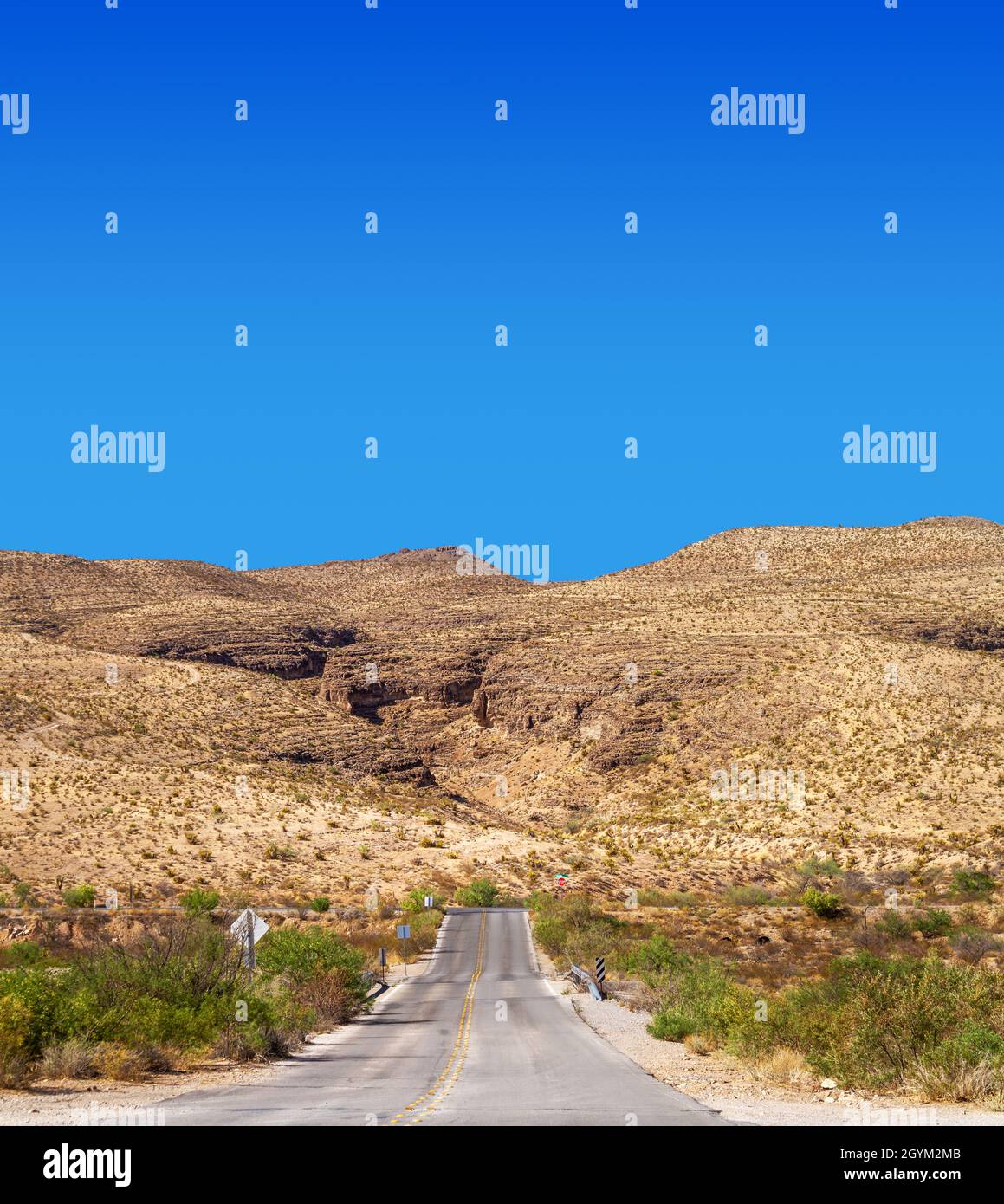 Wüstenstraße im Blue Diamond Gebiet im Süden Nevadas Stockfoto