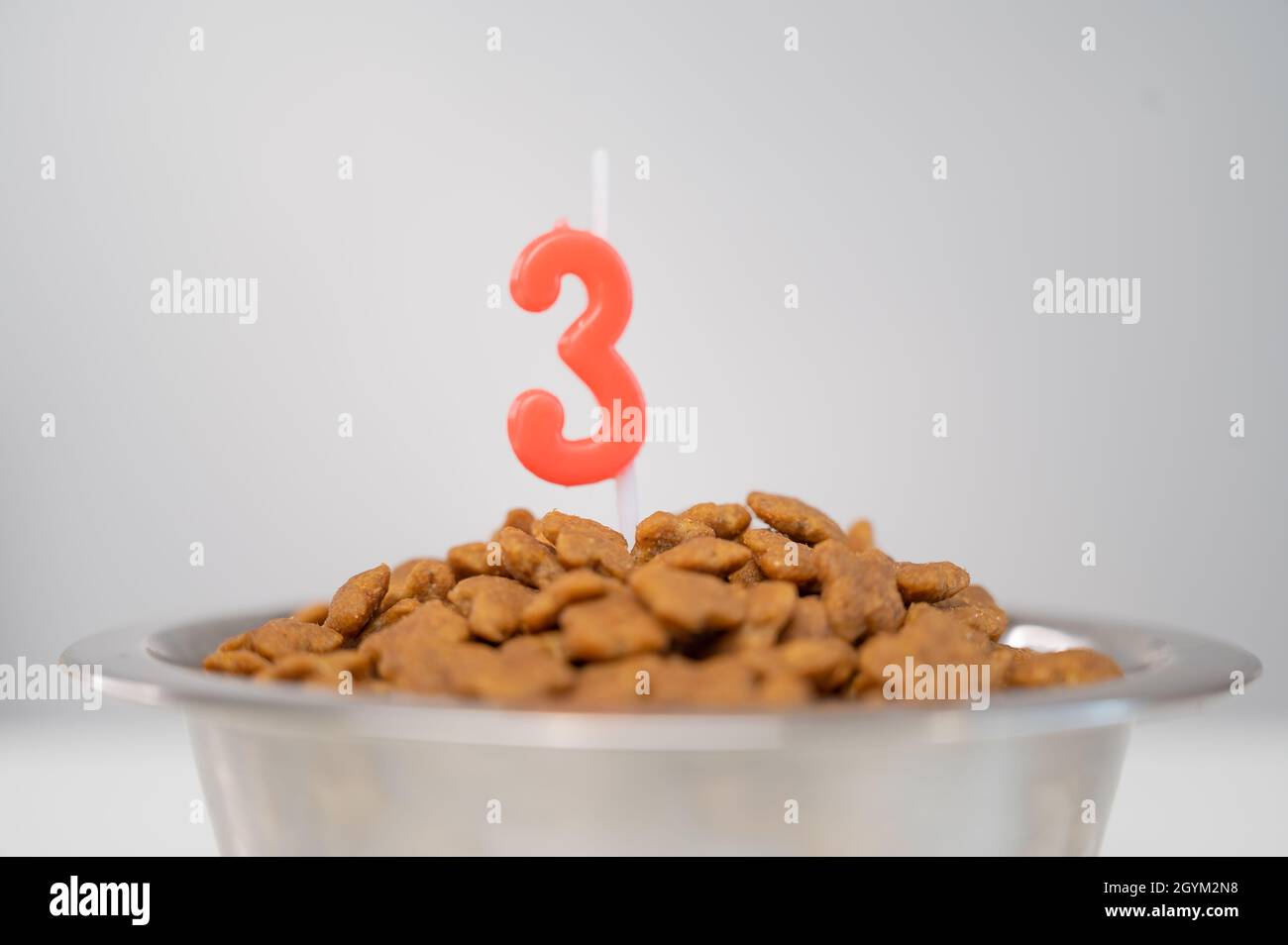 Hundefutterschale mit Trockenfutter und dreiförmiger Kerze. Stockfoto