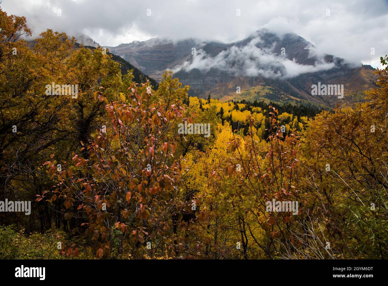 Blick auf die berühmte Alpine Loop in den Wasatch Mountains in Utah, USA. Die herrlichen Herbstblicke sind ein Magnet für Touristen und Einheimische gleichermaßen. Stockfoto