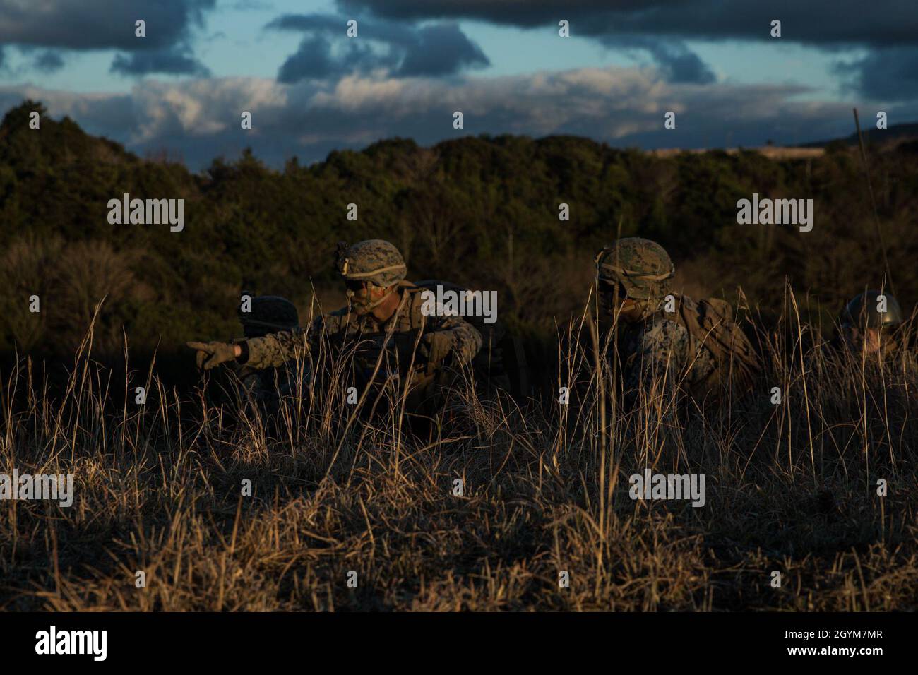 Marines mit Bataillon Landing Team 1. Bataillon, 5. Marines, 31. Marine Expeditionary Unit, schauen während eines vertikalen Angriffs und simulierter Stadtbeschlagnahme zur Übung Forest Light Western Army auf dem Kirishima Manöver Field, Kagoshima, Japan, 28. Januar 2020 in Richtung des Ziels. Die Übung besteht aus Feldtrainingsveranstaltungen, einschließlich grundlegender Infanteriefähigkeiten, vertikalen Angriffen, die mit MV-22B Osprey-Flugoperationen integriert sind, sowie kombinierten Waffen und verbessert die kollektiven Verteidigungsfähigkeiten der US-japanischen Allianz. Die 31. MEU, die einzige kontinuierlich weitereingesetzte MEU des Marine Corps, stellt vor Stockfoto