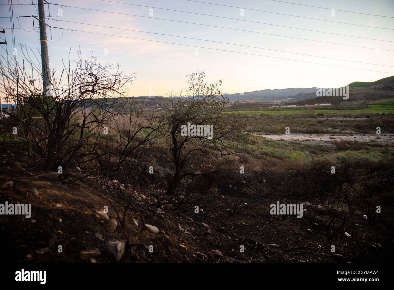 Verbrannte Vegetation kann man in der Nähe der Straßen Cristianitos und Basilone an Bord des Marine Corps Base Camp Pendleton, Kalifornien, sehen, 30. Januar 2020. Die Feuerwehr Camp Pendleton und die Feuerwehr Orange County reagierten auf beide Brände über Nacht. Die Brände brannten jeweils etwa 1 Hektar und verursachten Verkehrsstaus entlang des Interstate Highway 5. (USA Marine Corps Foto von CPL. Dylan Chagnon) Stockfoto