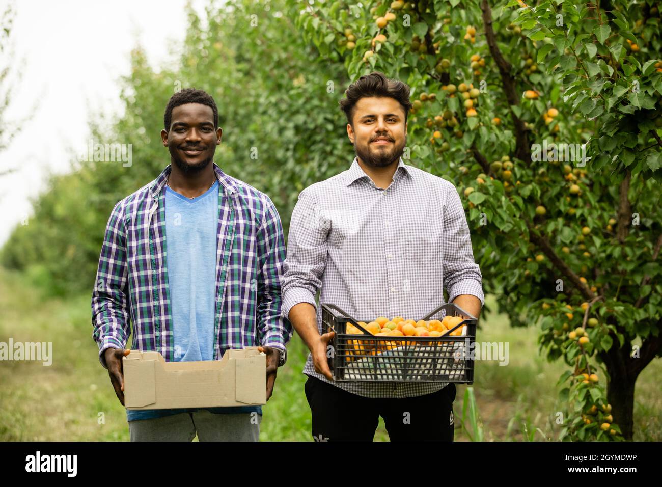 Glückliche multirassische Familie in ihrem Obstgarten Stockfoto
