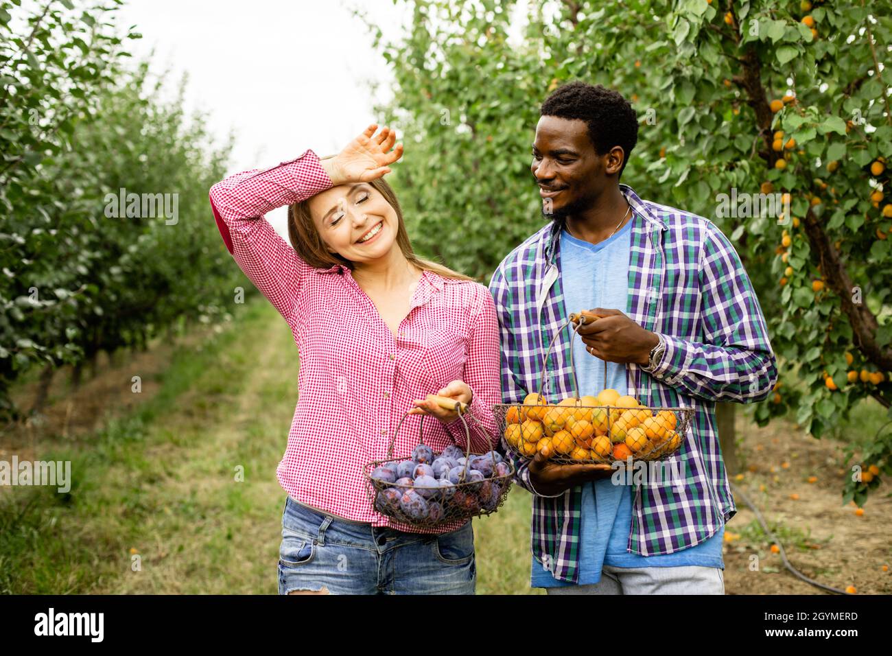 Glückliche multirassische Familie in ihrem Obstgarten Stockfoto