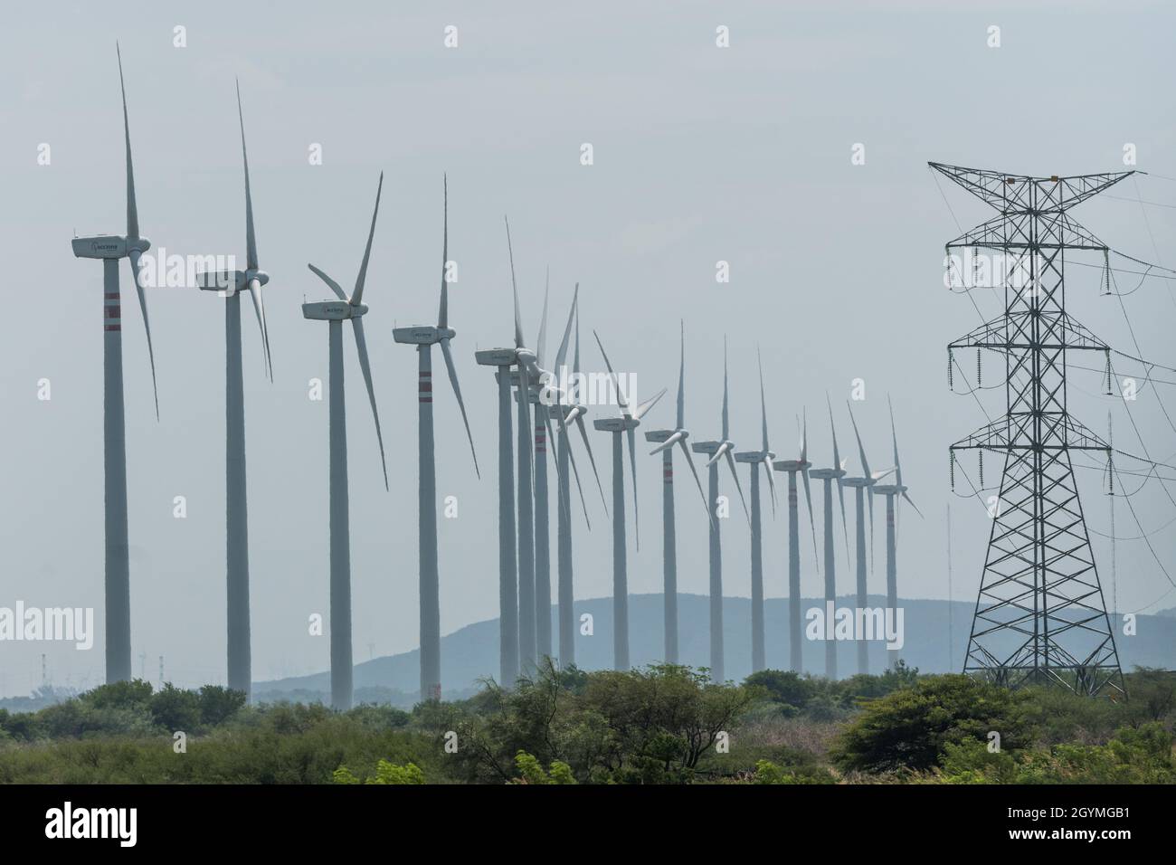 Stromerzeuger von Windkraftanlagen in der windigen Region bei La Ventosa am Isthmus von Tehuantepec in Oaxaca, Mexiko. Stockfoto