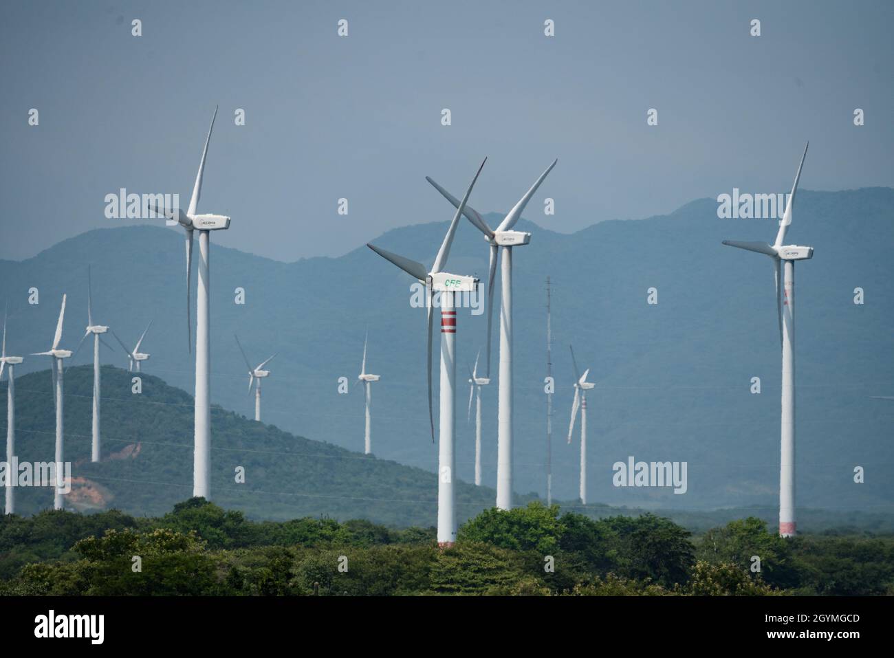 Stromerzeuger von Windkraftanlagen in der windigen Region bei La Ventosa am Isthmus von Tehuantepec in Oaxaca, Mexiko. Stockfoto