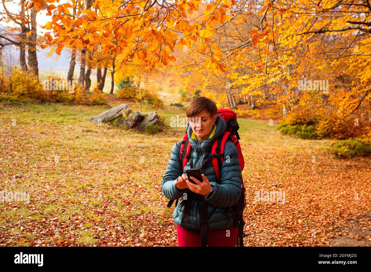 Die Erwachsene Wanderin steht unter einem Baum und schaut auf das Smartphone. Sie trägt warme Kleidung und einen Rucksack, der im Herbstwald steht Stockfoto